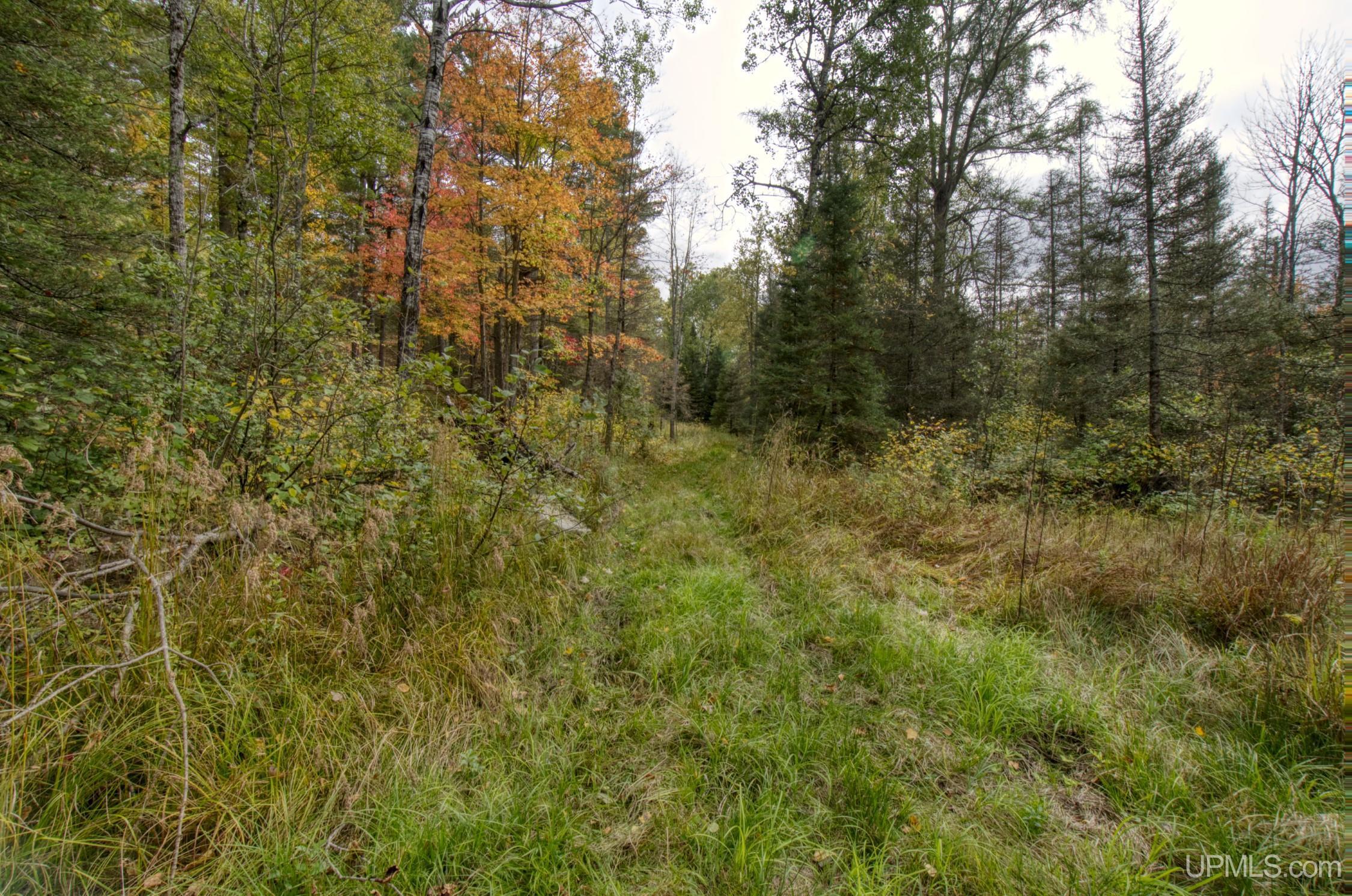 TBD Off N End Amasa, MI MLS50124091 Great Lakes and Land
