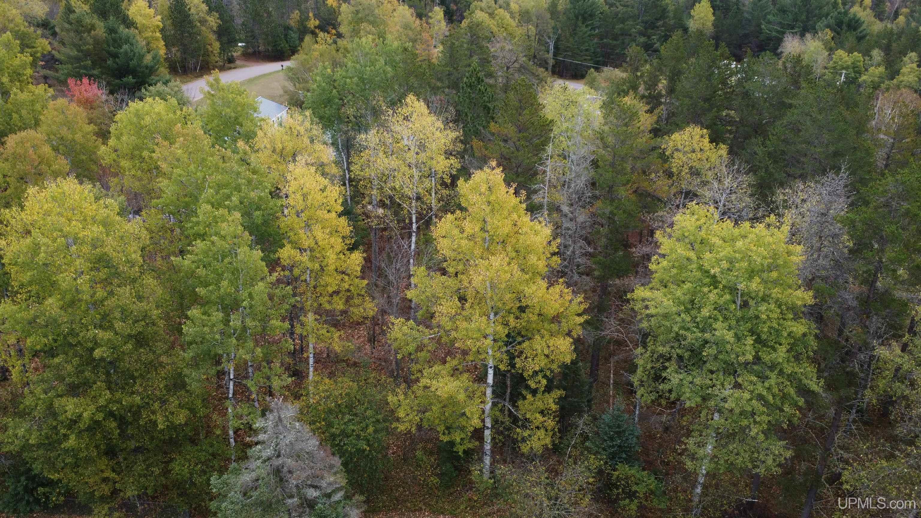 8 Lawer Ishpeming 49849 MLS 50124981
