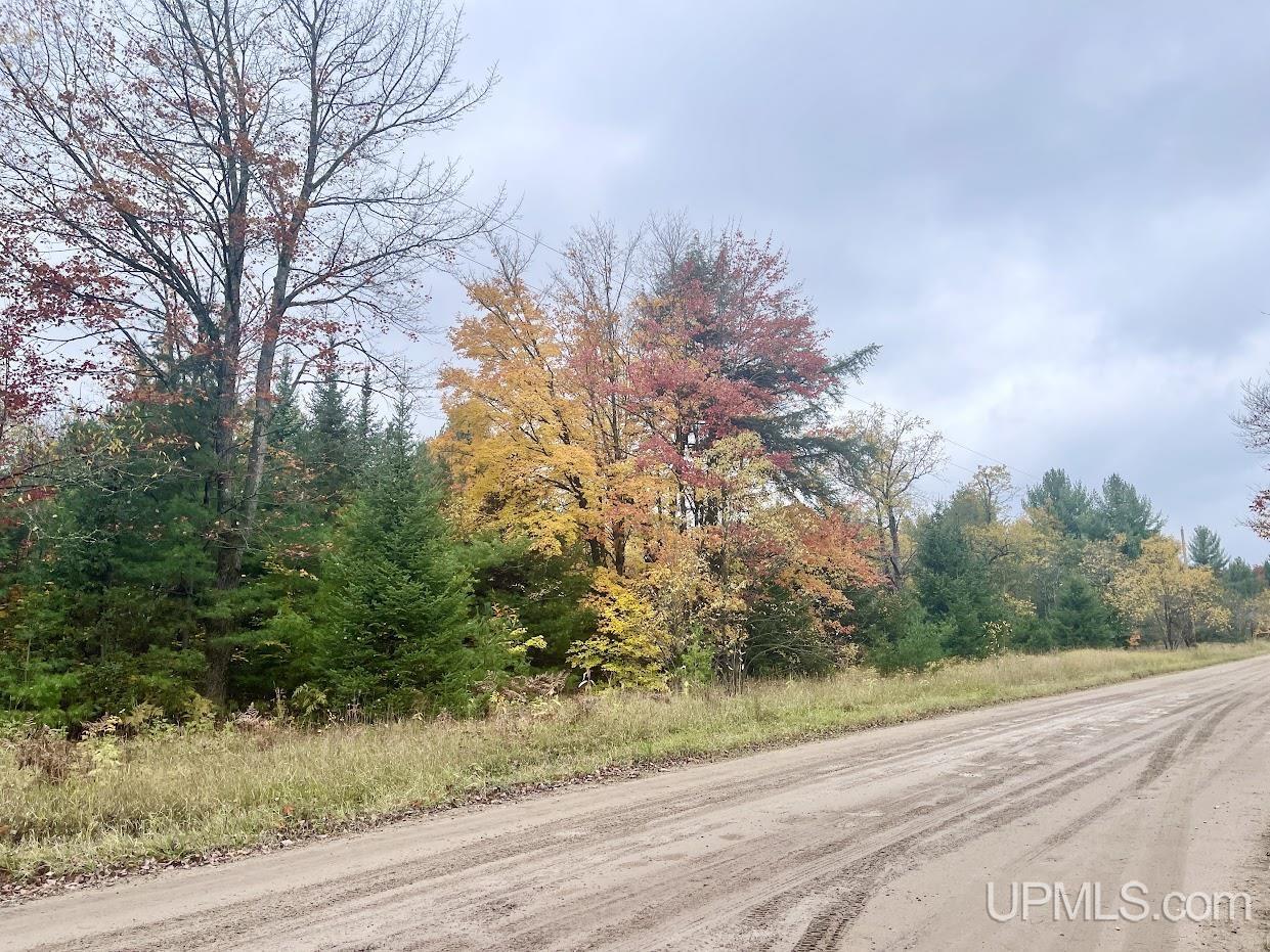 TBD USFS 2235 Wetmore, MI 49895 MLS 50125559 Great Lakes and Land