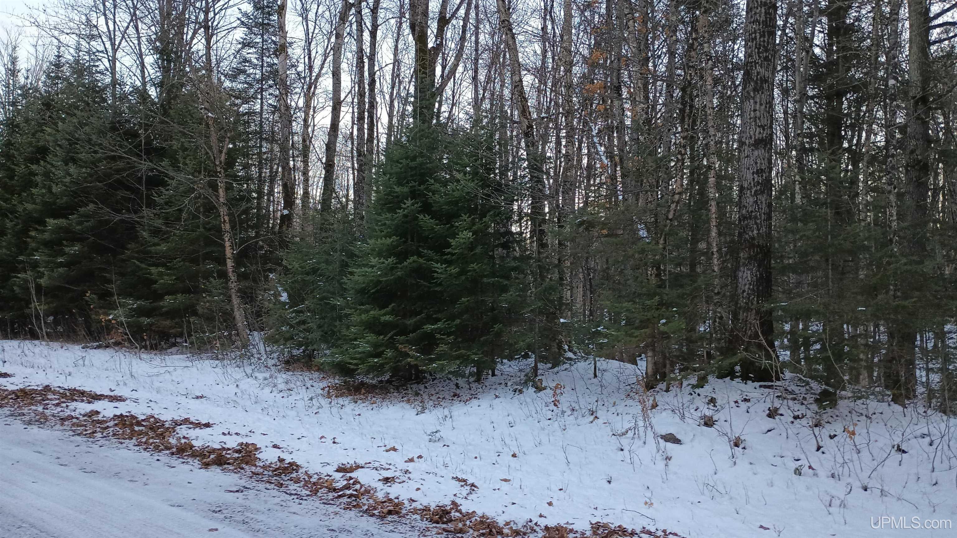 Lot 49 Hewitt Hurley CWI, WI 54534 MLS 50130030 Great Lakes and Land