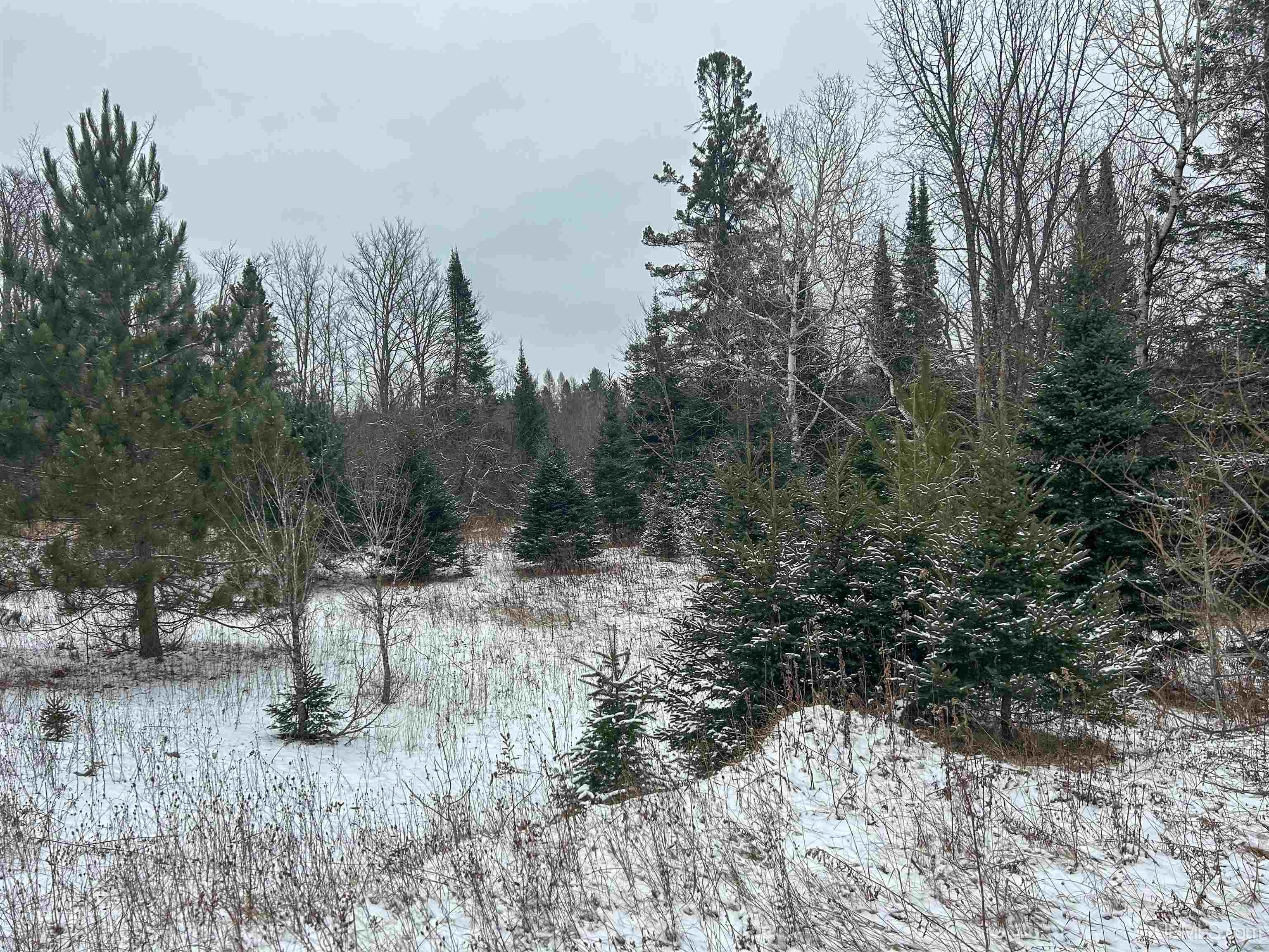 N7176 Indiantown Munising, MI 49862 MLS 50130735 Great Lakes and Land
