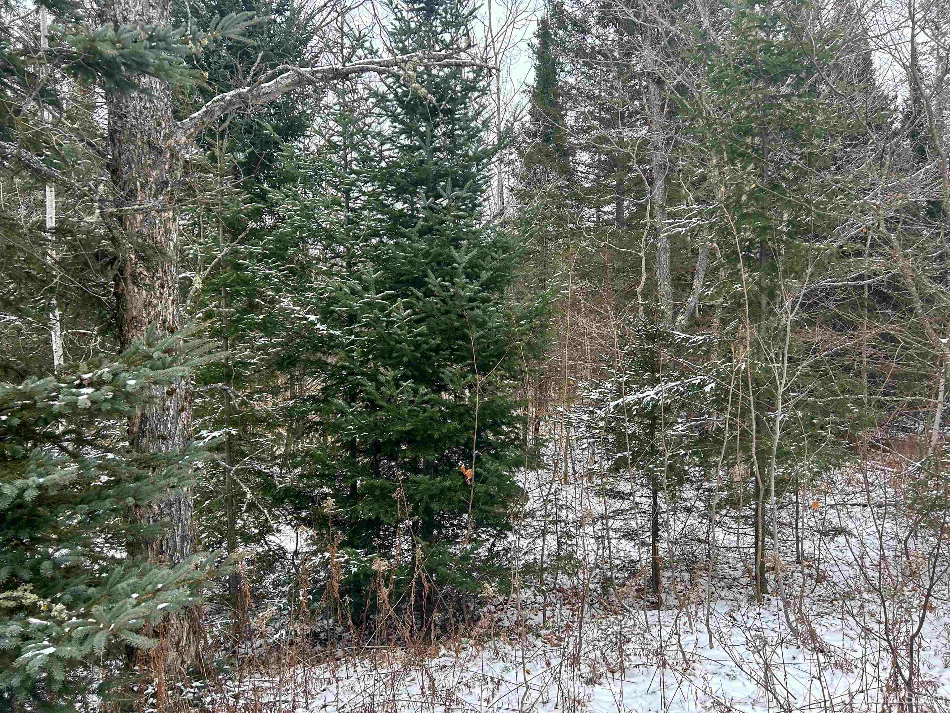 N7176 Indiantown Munising, MI 49862 MLS 50130735 Great Lakes and Land