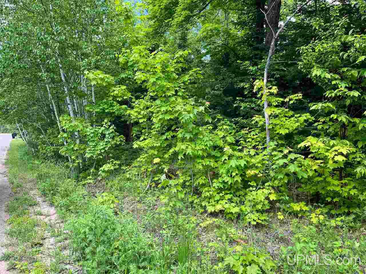 1072 highland ishpeming mi mls 50132580 great lakes and land