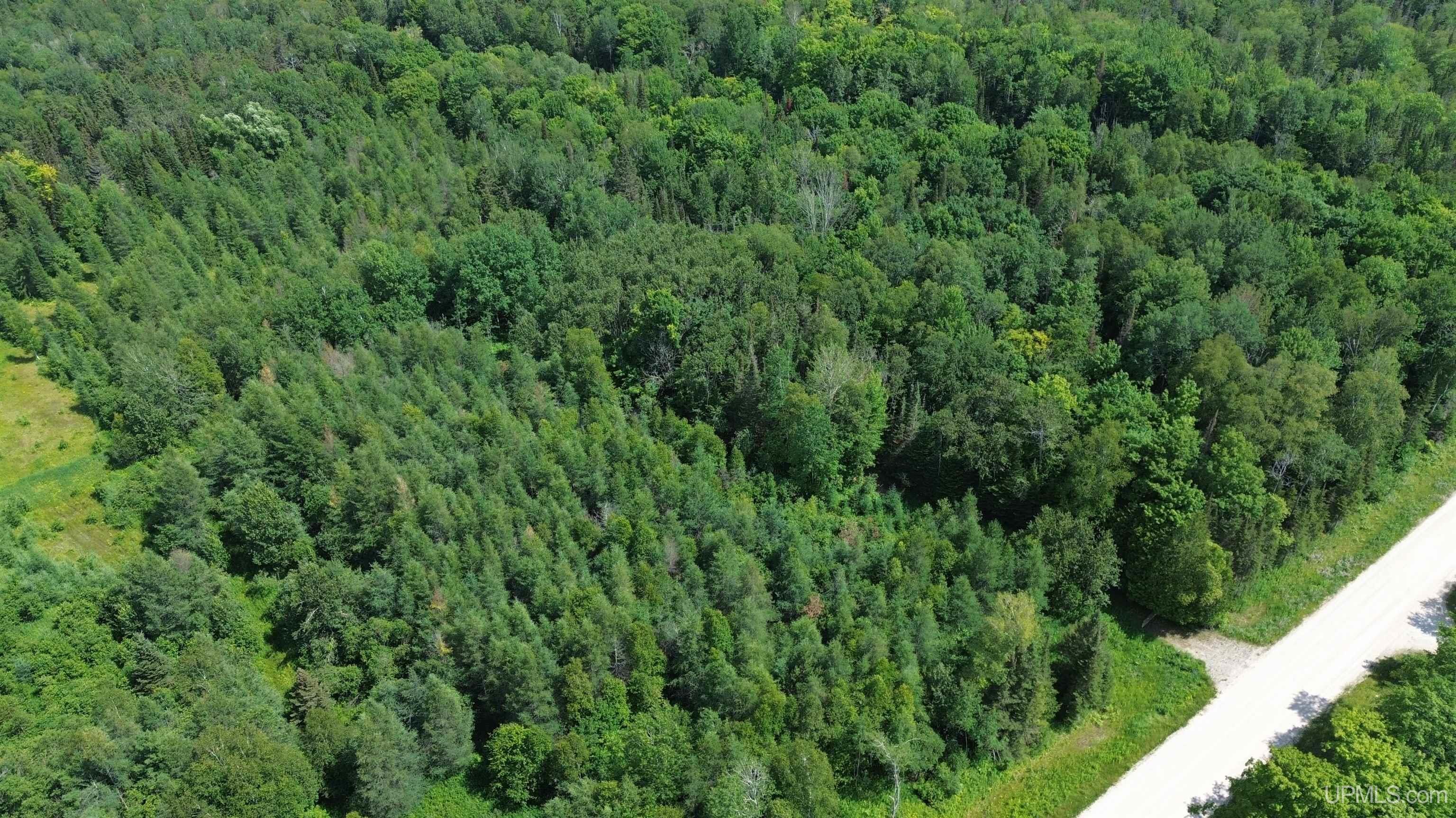 2002-n-merwin-creek-manistique-mi-mls-50133065-great-lakes-and-land