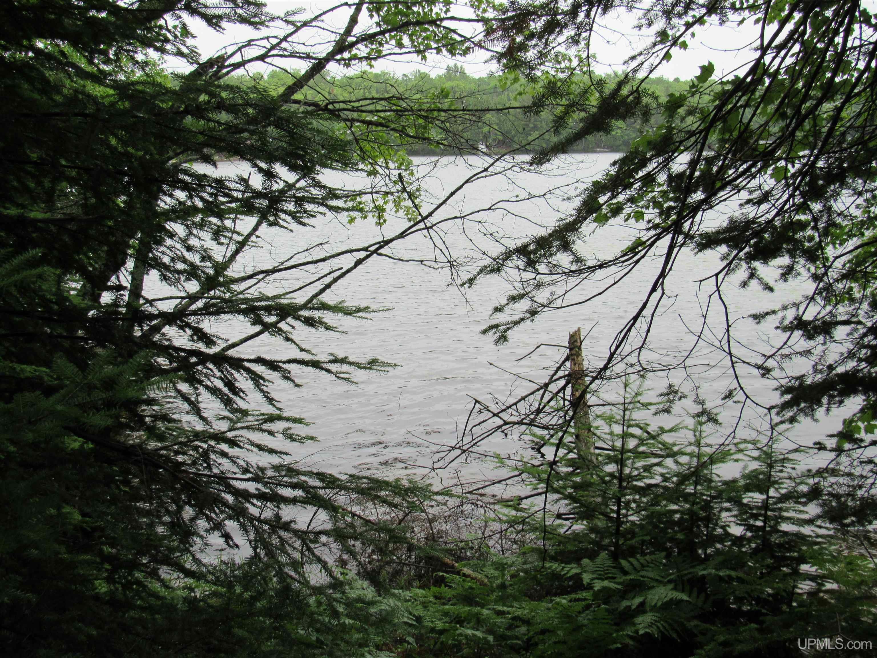 TBD W Duck Lake Watersmeet, MI MLS50134081 Great Lakes and Land