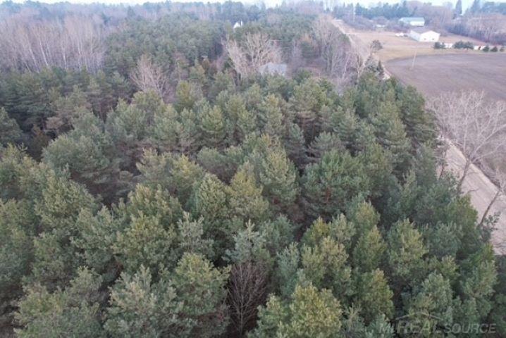 Mann Road, Port Sanilac, MI, 48469