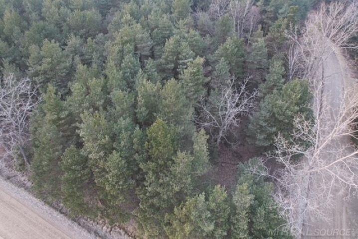 Mann Road, Port Sanilac, MI, 48469