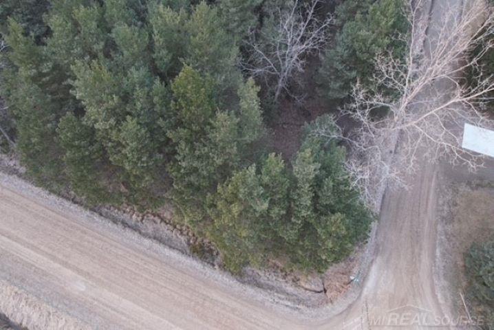 Mann Road, Port Sanilac, MI, 48469