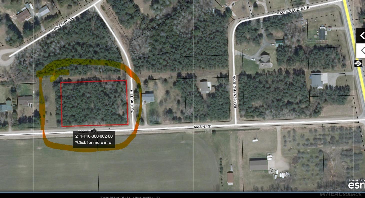 Mann Road, Port Sanilac, MI, 48469