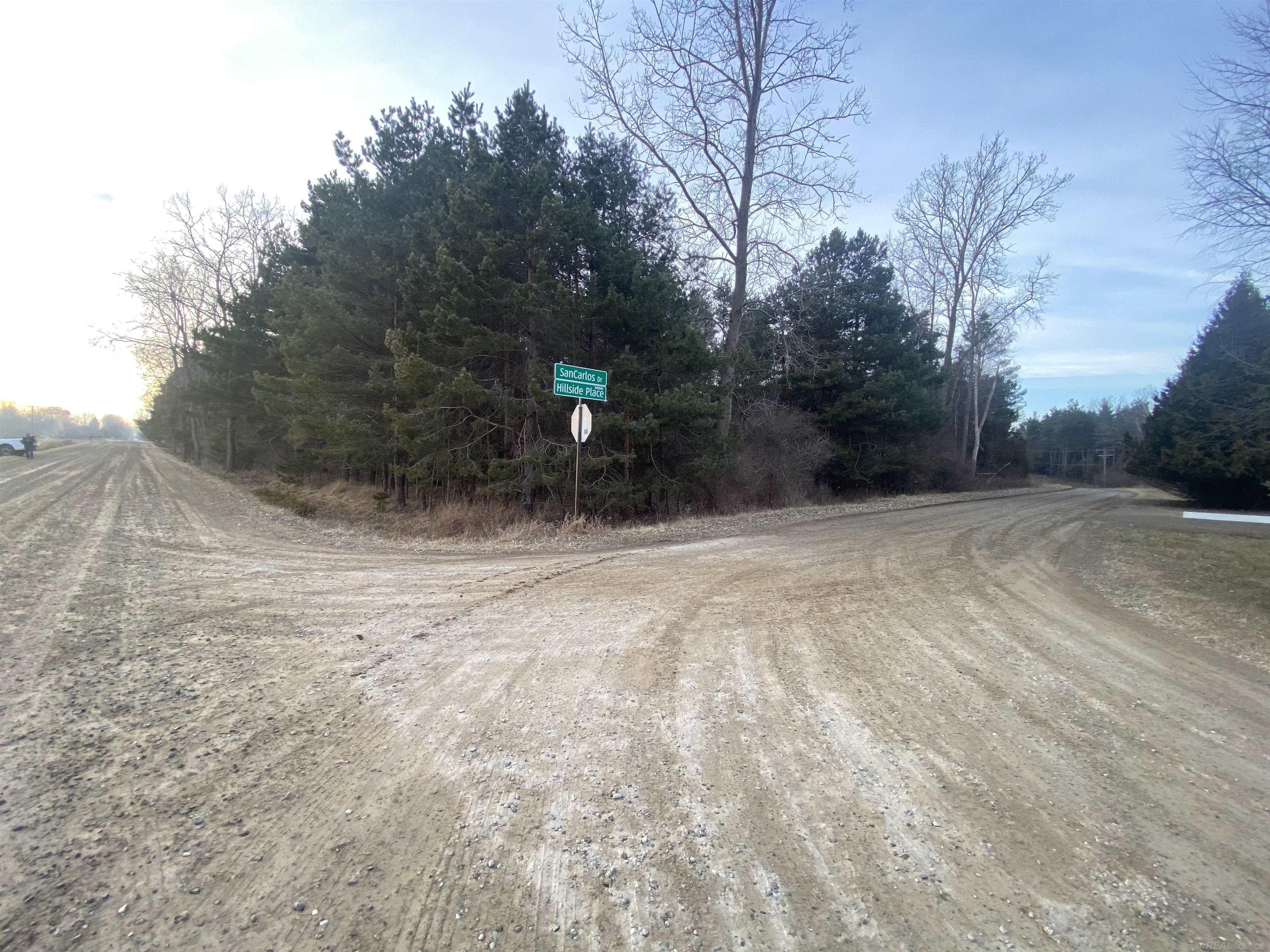 Mann Road, Port Sanilac, MI, 48469