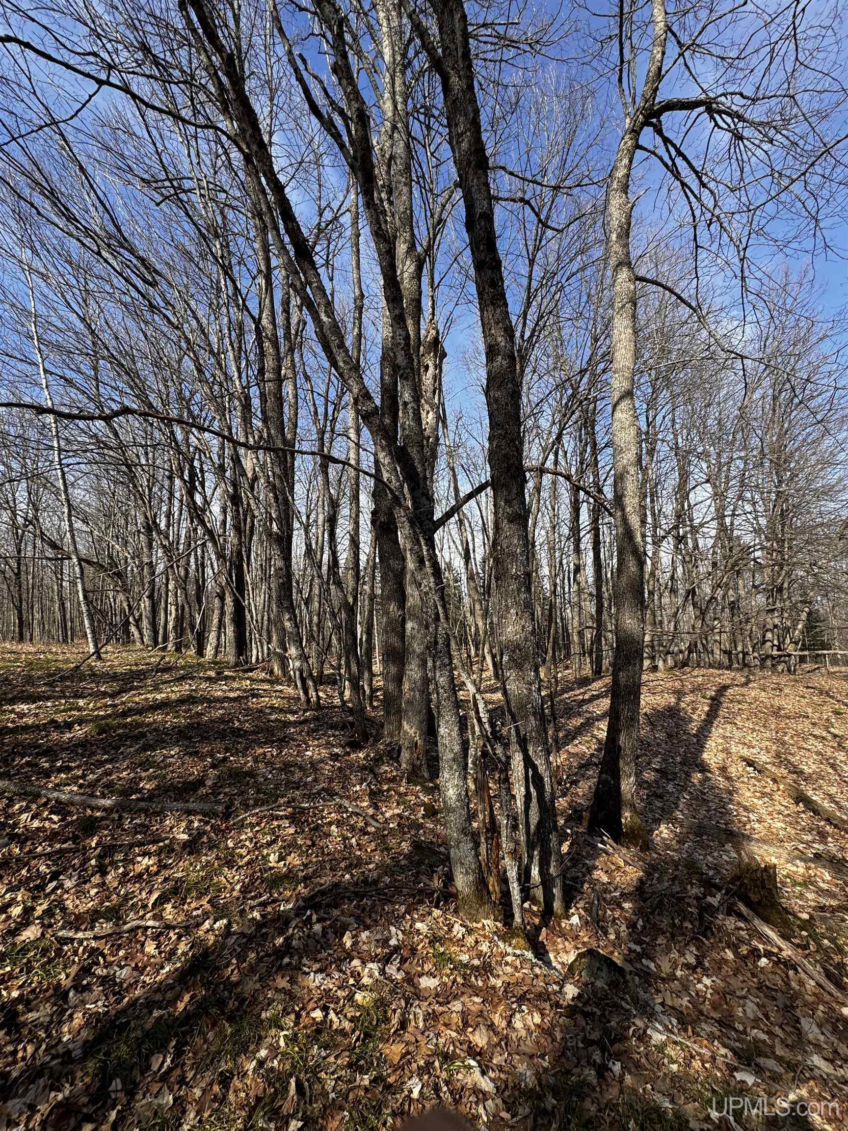 TBD67North Sidnaw Road Sidnaw, MI MLS50137450 Great Lakes and Land