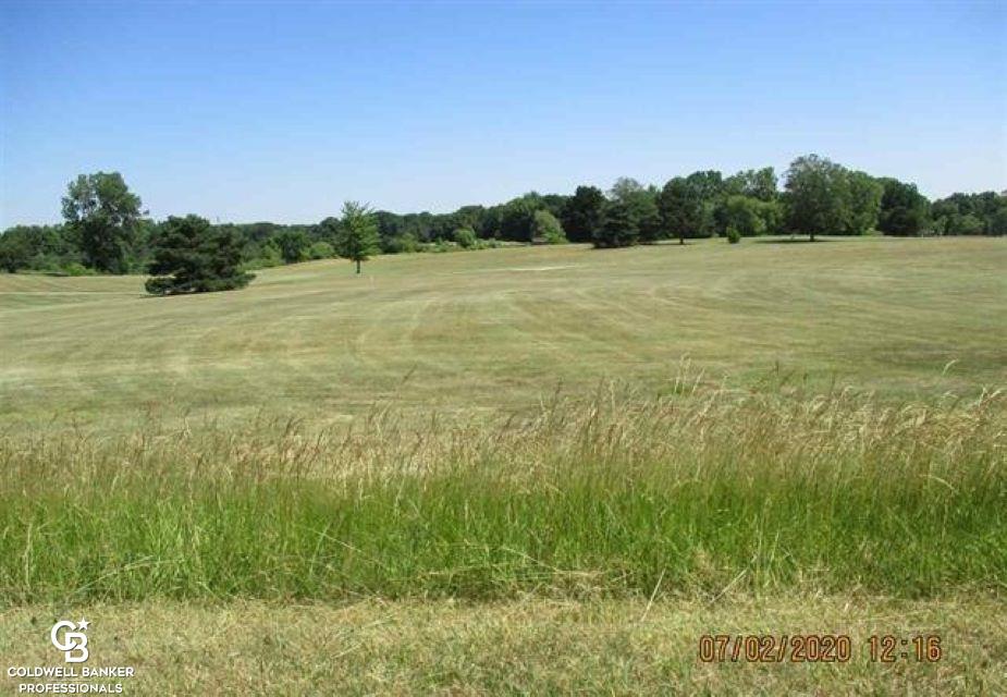 Homes for sale in Riley Township St Clair, MI | 00 Belle River Lot R Rd, Riley Township St Clair, MI 48041 | MLS# 58050137689