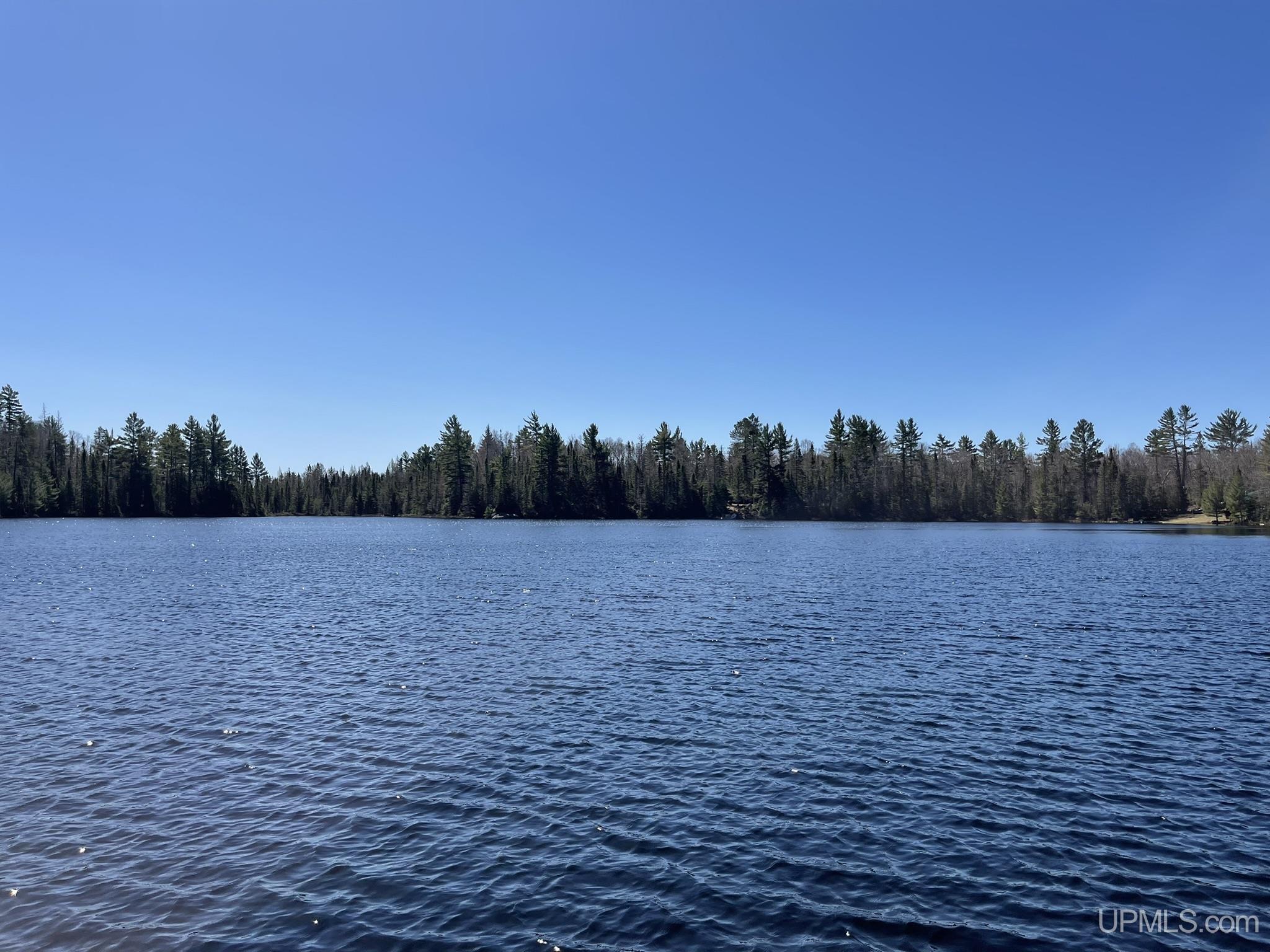 Listing #50140861 Michigamme