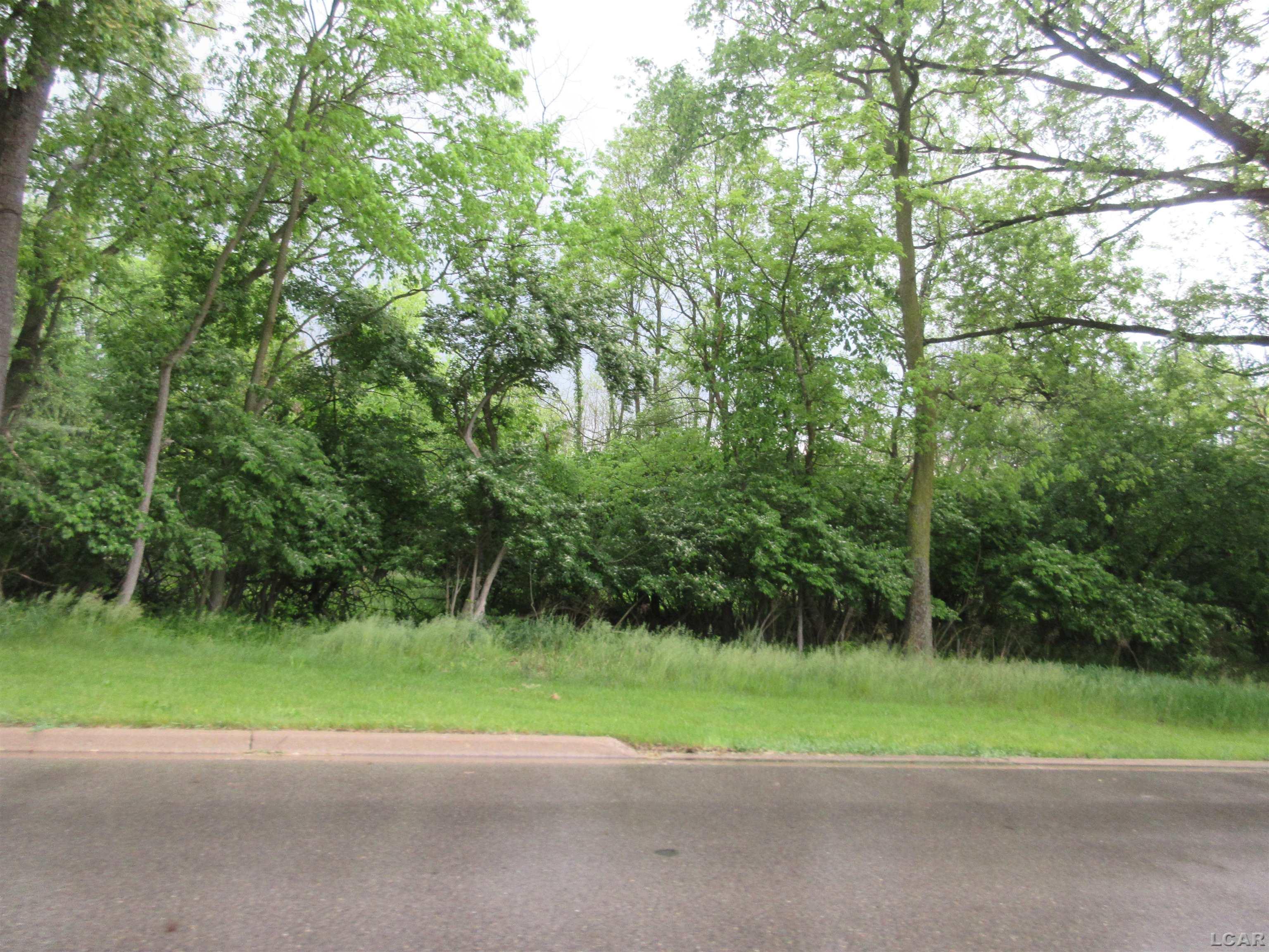 Land for sale in Tecumseh, Michigan, 50142022