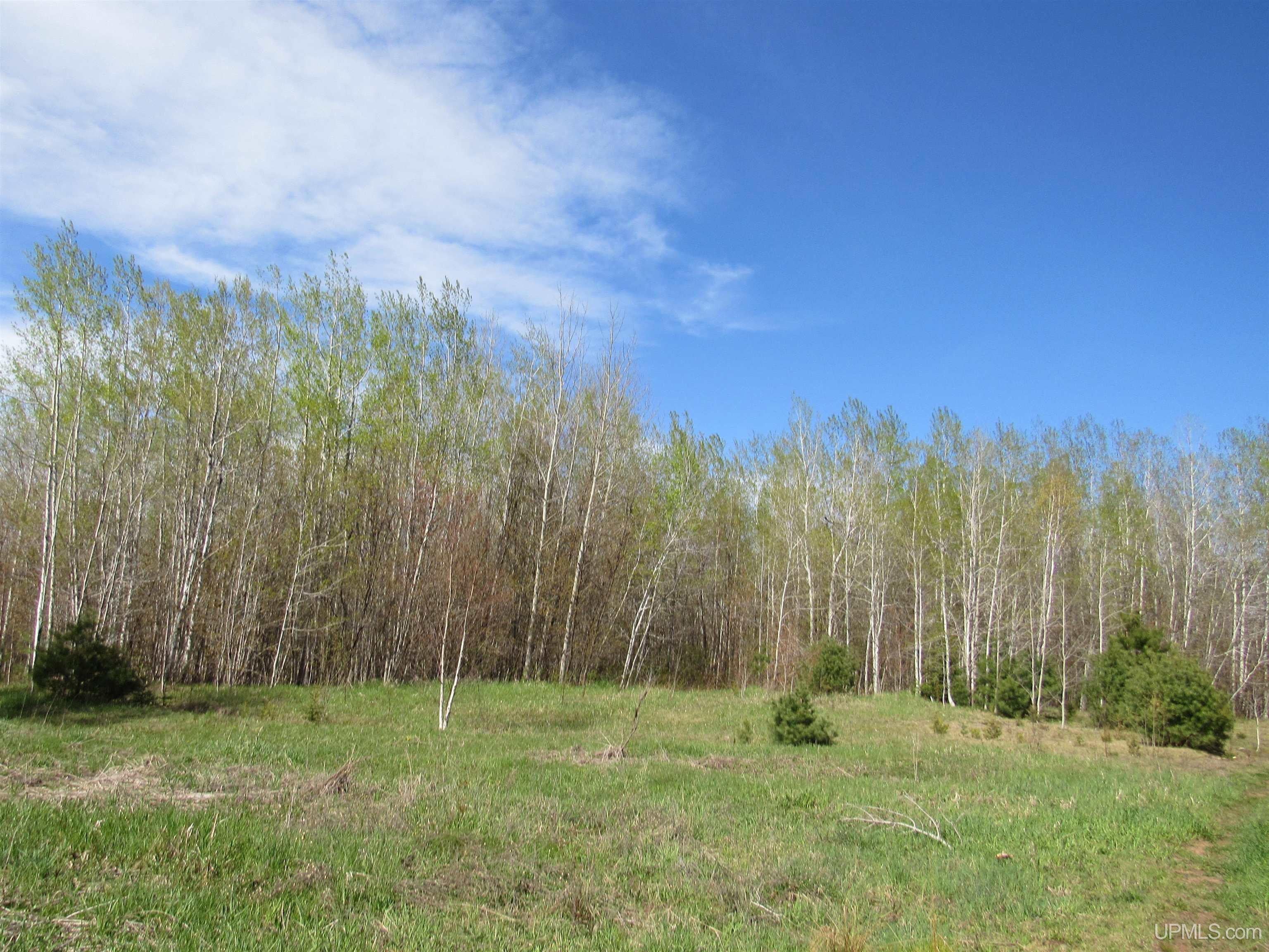 TBD Off Rice Lake Lake Linden, MI MLS50142898 Great Lakes and Land