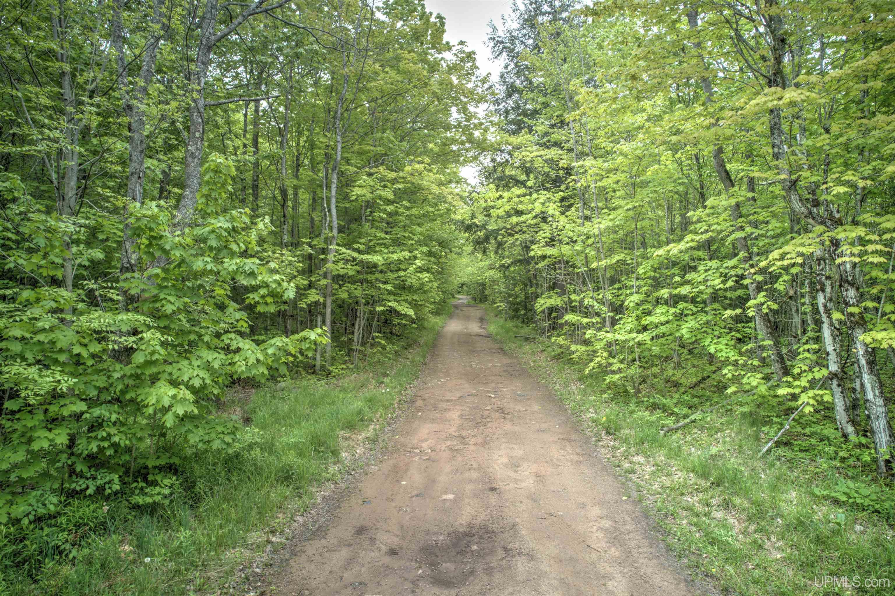 TBD Segan Deerton, MI MLS50143972 Great Lakes and Land