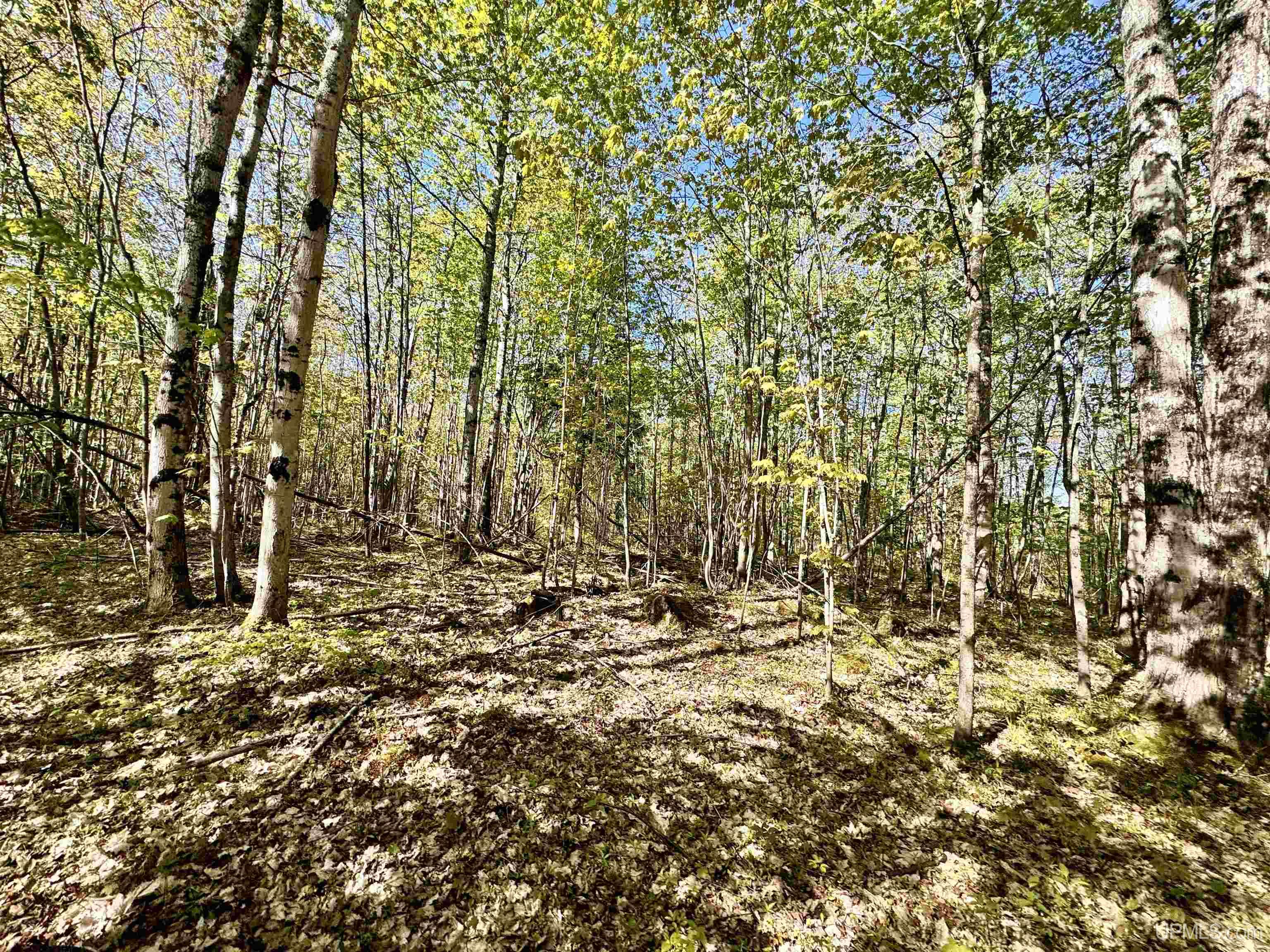 TBD Segan Deerton, MI MLS50143972 Great Lakes and Land