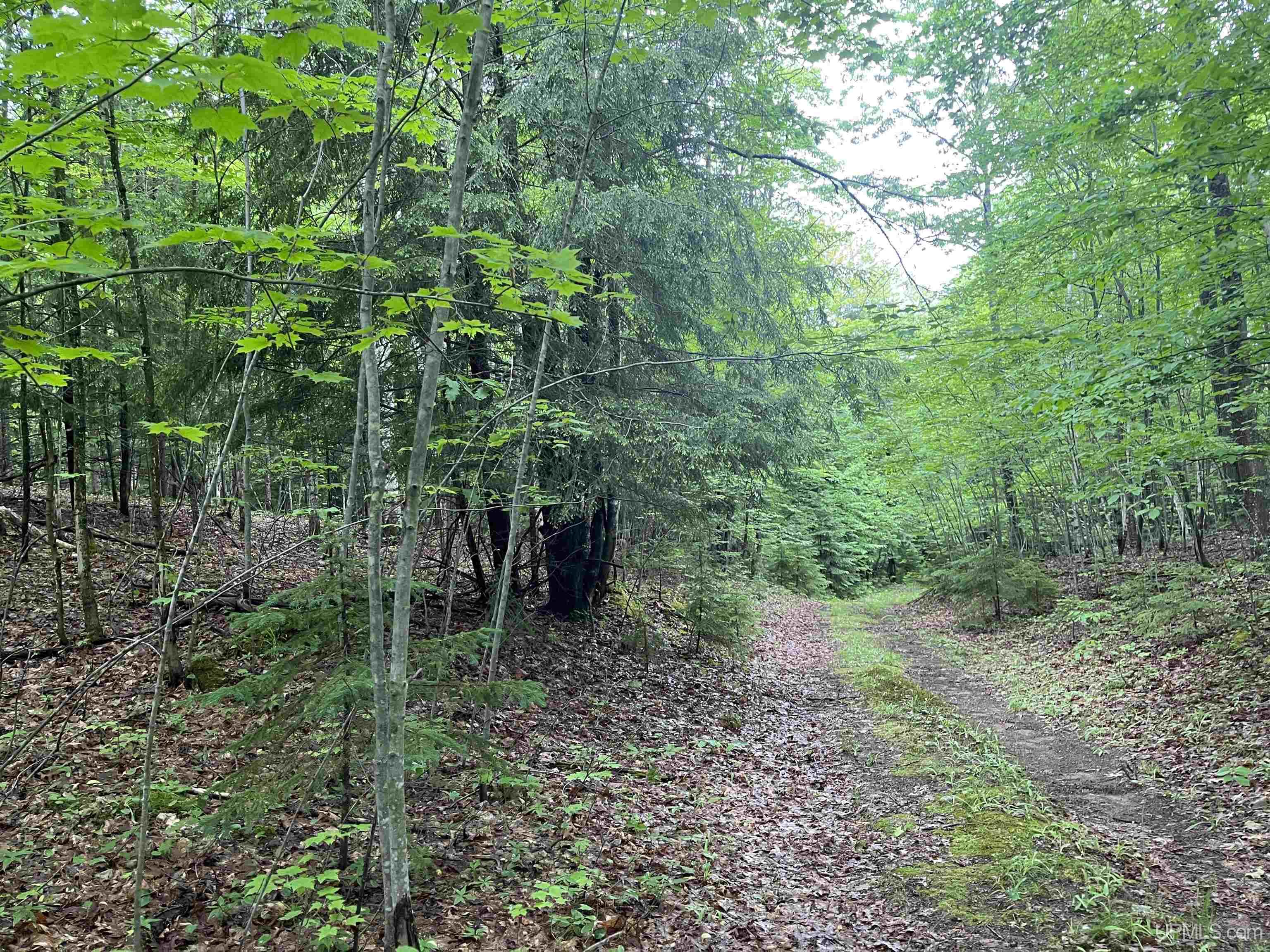 240-acres-off-mclaughlin-skandia-mi-mls-50144308-great-lakes-and-land