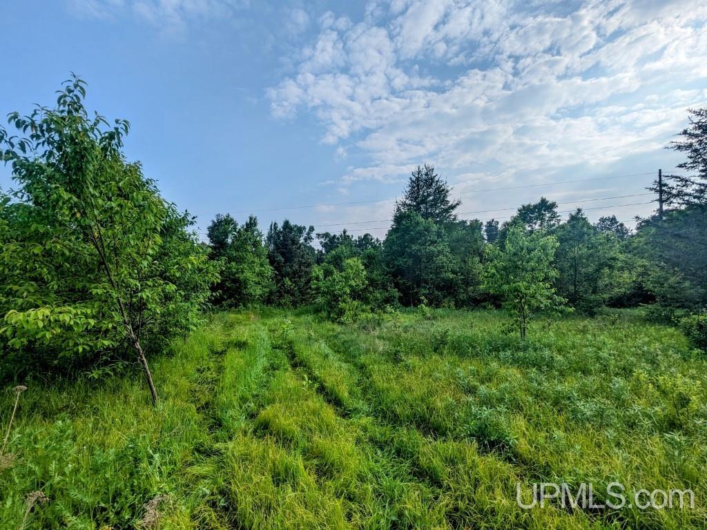 25-acre-trail-2-iron-river-mi-49935-mls-50153045-upmls