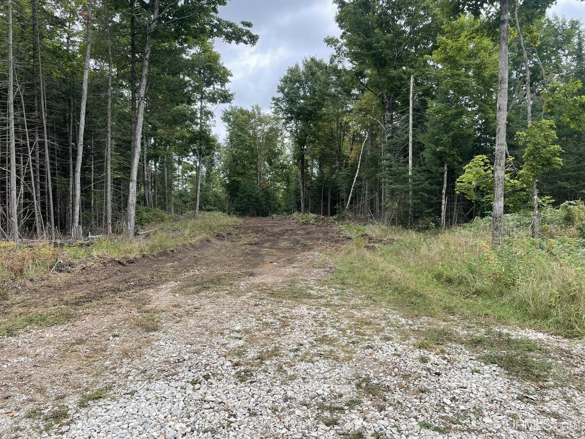 TBD LITTLE HARBOR RD Manistique, MI 49854 MLS 50156003