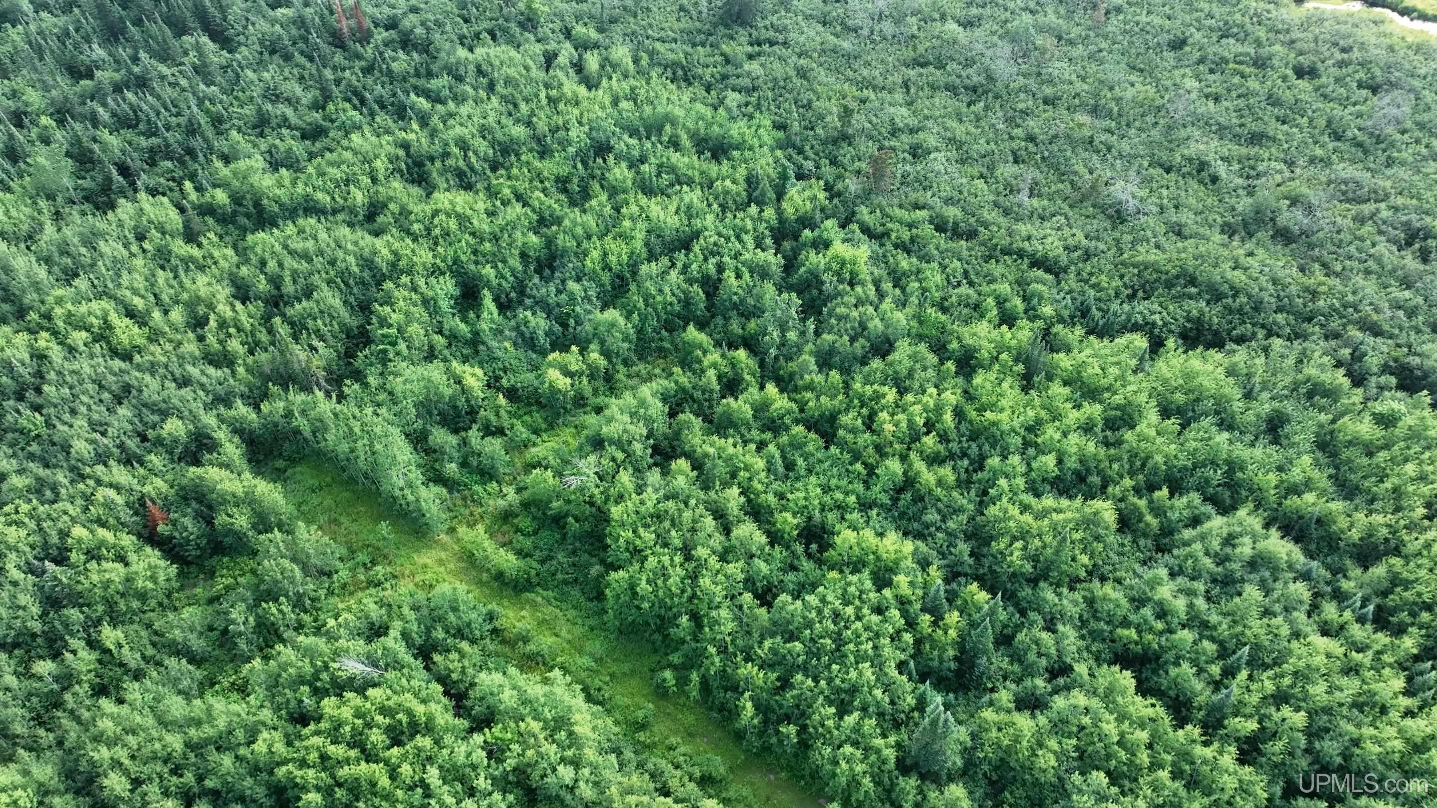 TBD Parcel D Off Big Bear and Old 28 Ewen, MI MLS50160040 Great Lakes