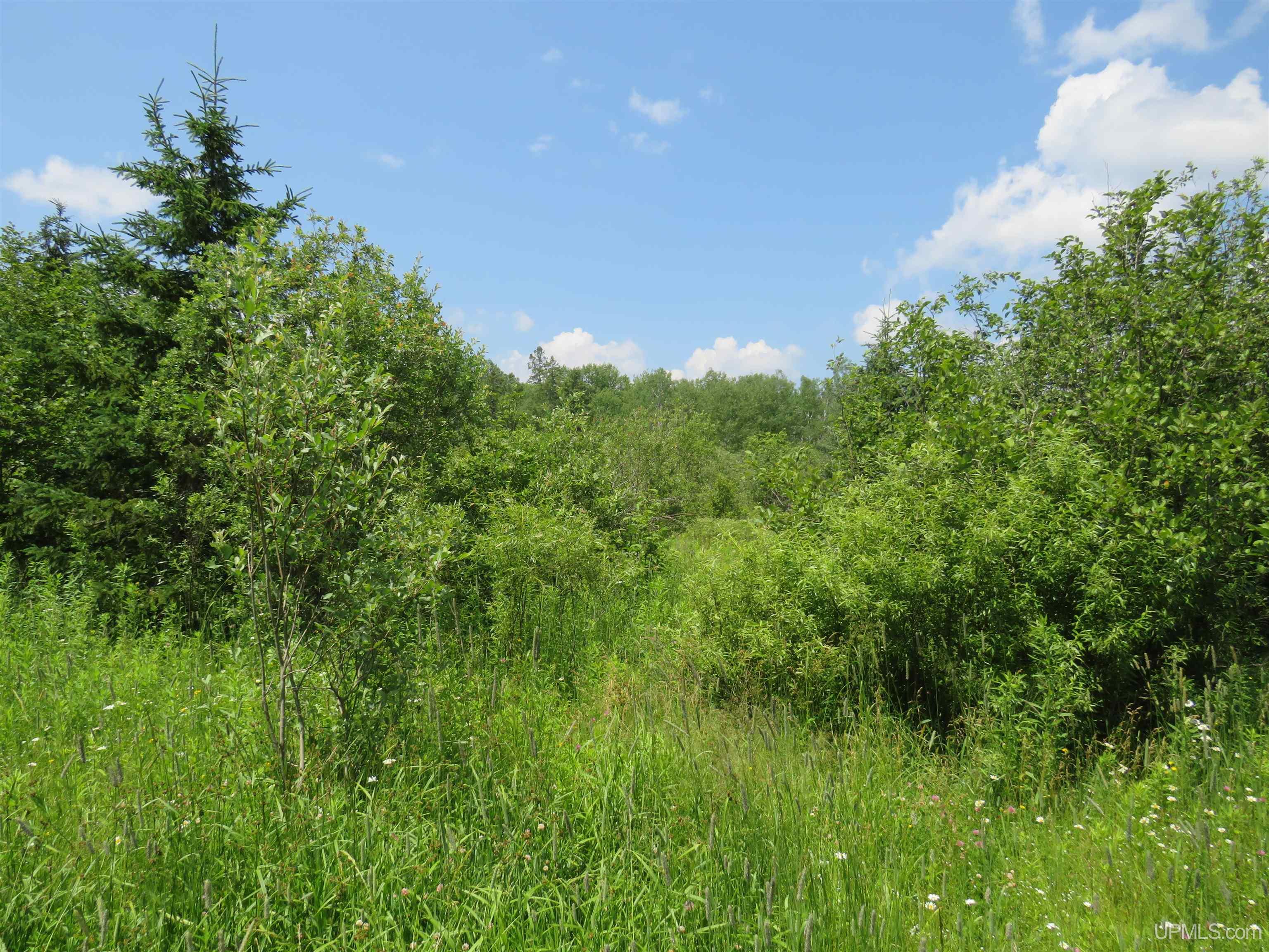 TBD Parcel D Off Big Bear and Old 28 Ewen, MI MLS50160040 Great Lakes