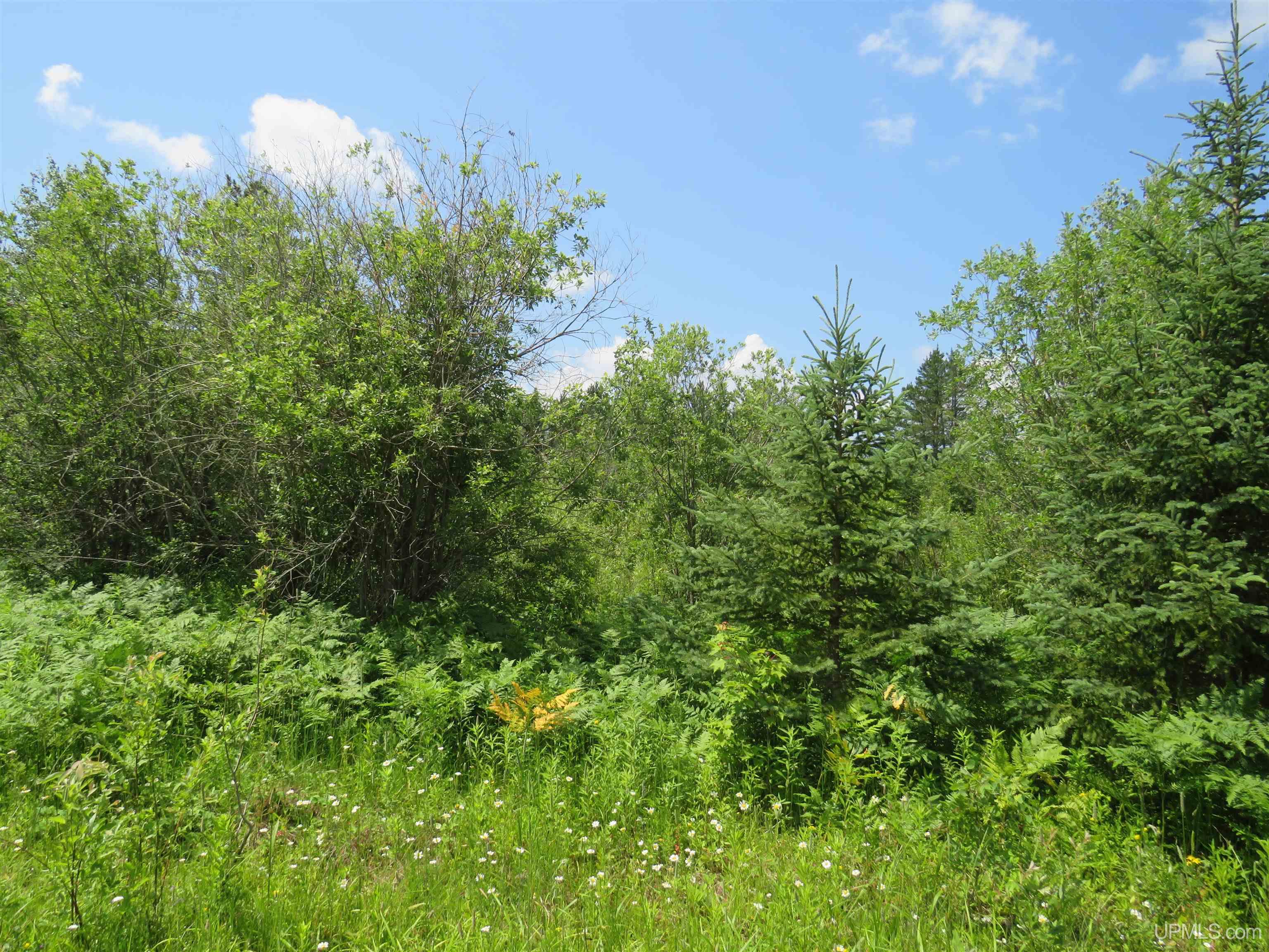 TBD Parcel E Off Big Bear and Old 28 Ewen, MI MLS50160041 Great Lakes