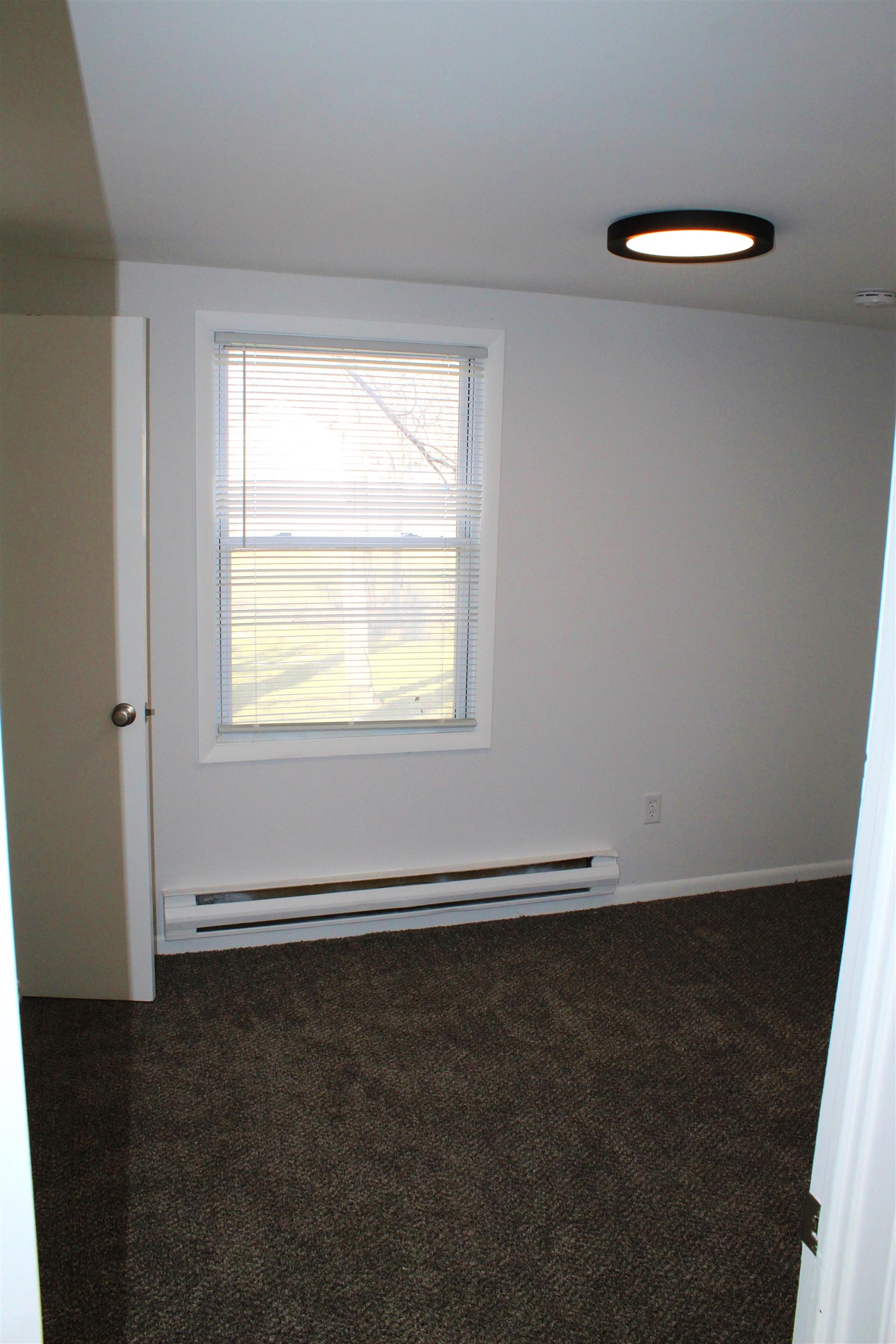 Picture 54