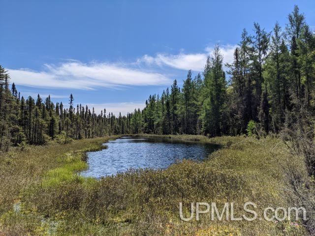 Lot 43C E Fence Lake Michigamme, MI MLS#50162791 Great Lakes and Land