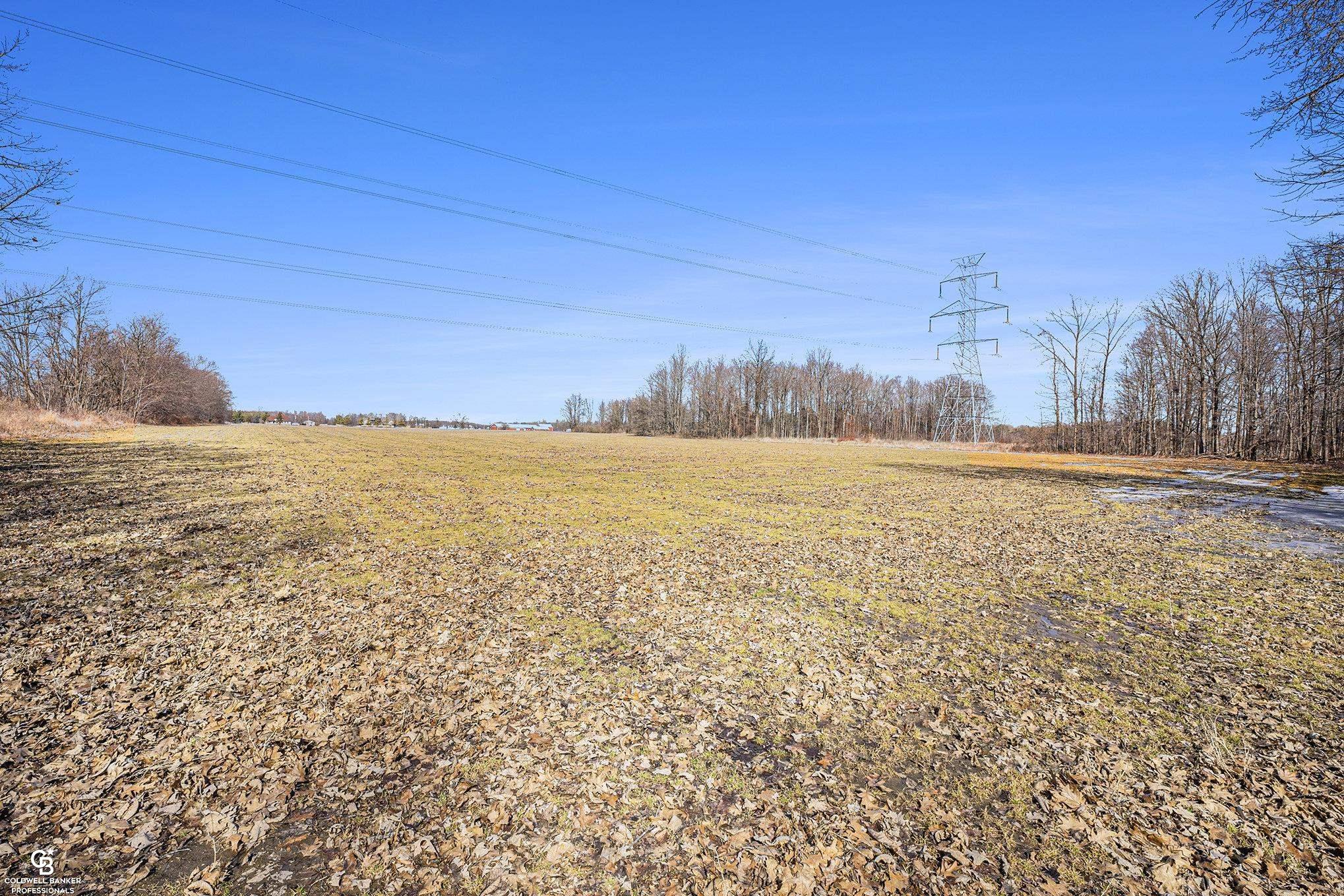 Homes for sale in Casco, MI | 00 Meisner Parcel C Rd, Casco, MI 48064 | MLS# 50169298