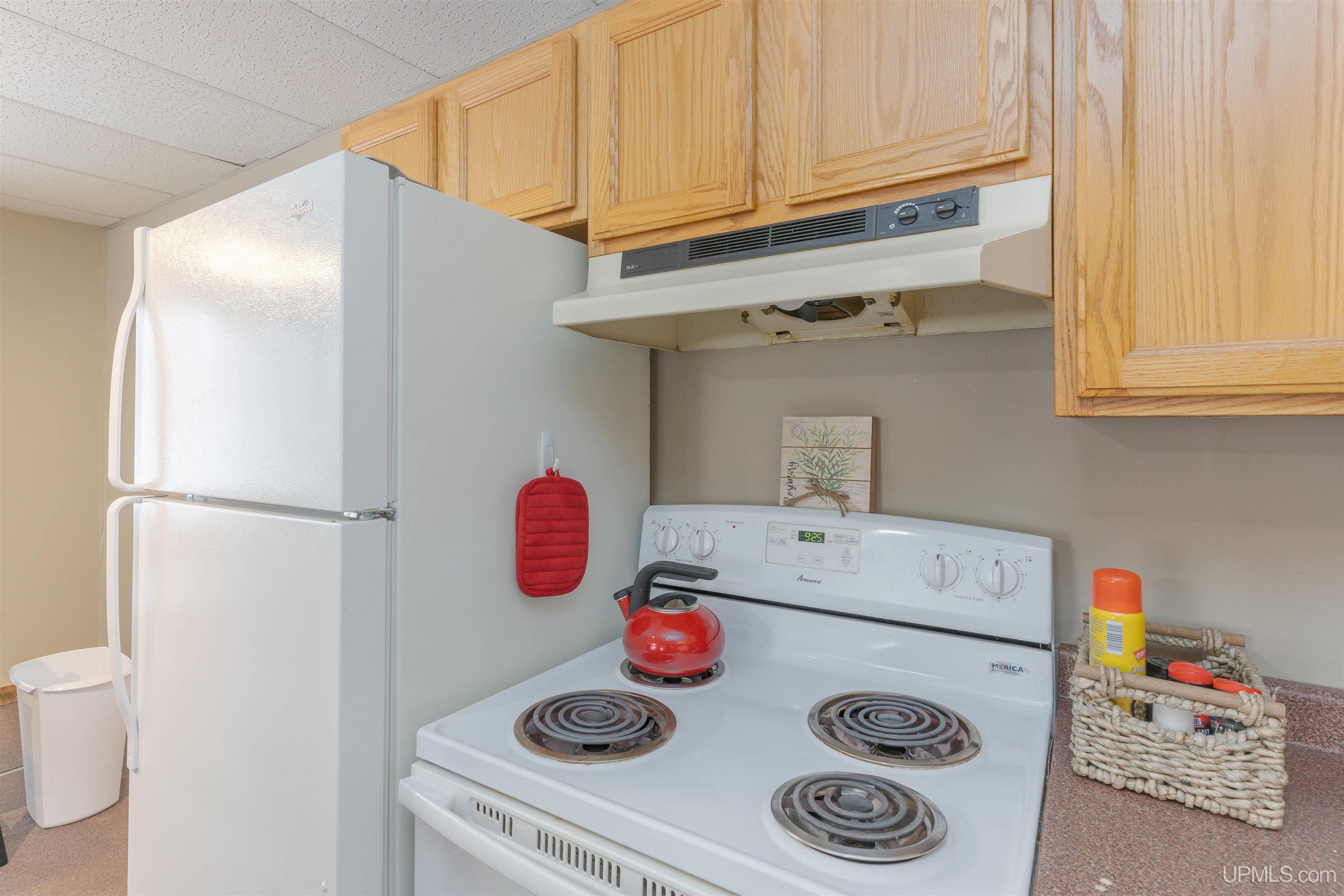 126 Big Bear Road UNIT 2, Iron River, MI, 49935-7862