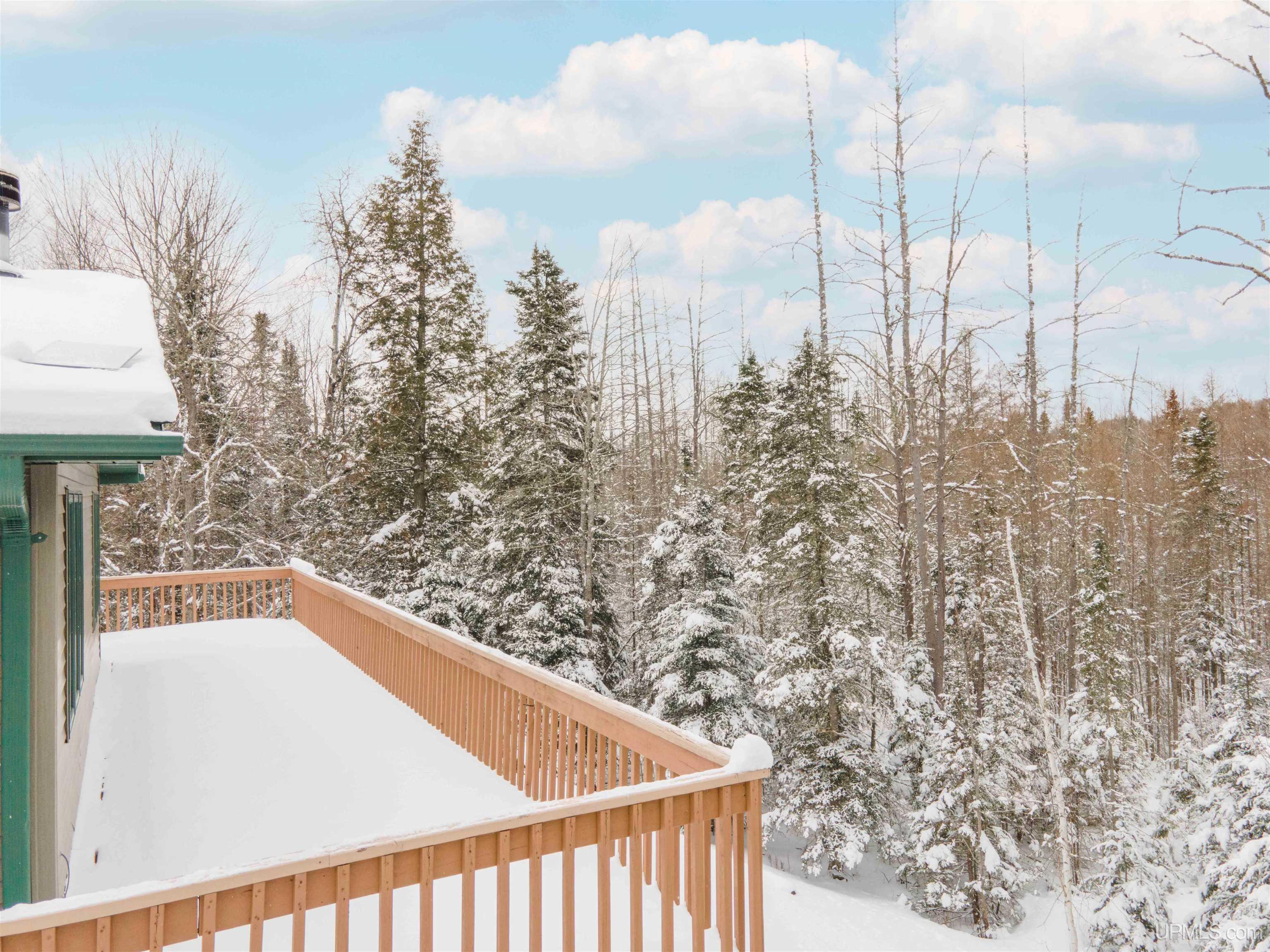 126 Big Bear Road UNIT 2, Iron River, MI, 49935-7862