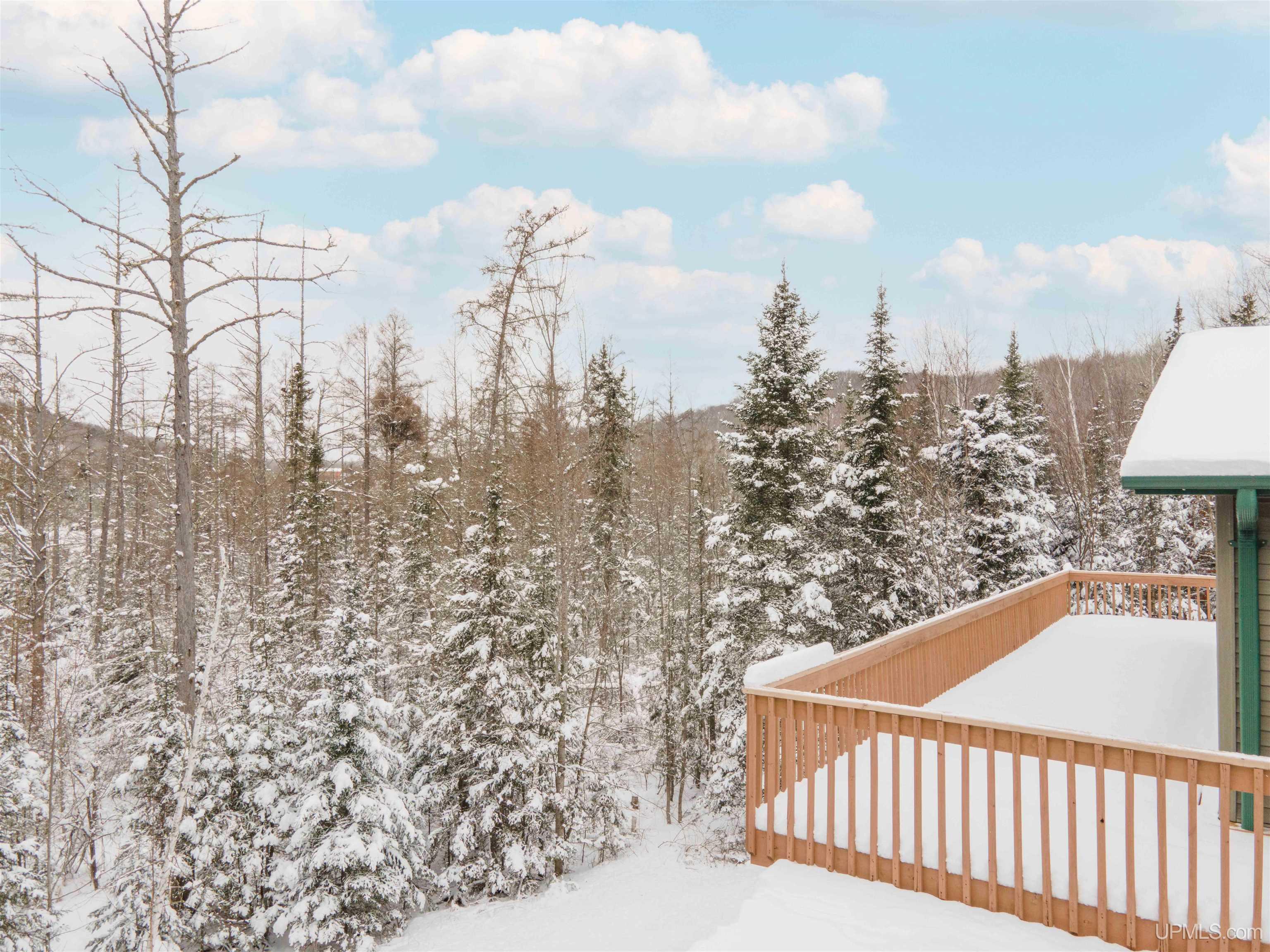 126 Big Bear Road UNIT 2, Iron River, MI, 49935-7862