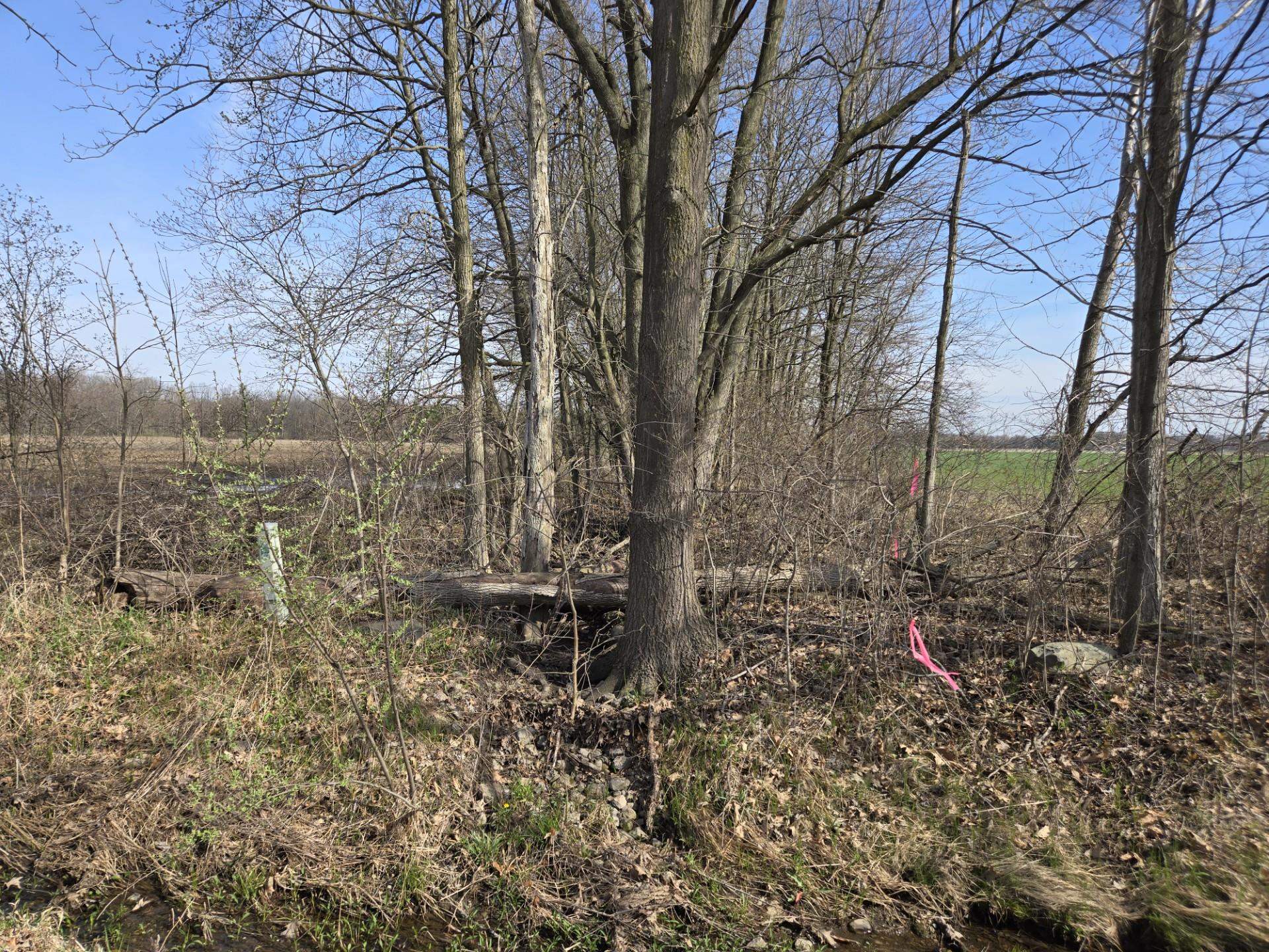 Homes for sale in Columbus Township St Clair, MI | 0 Weber (lot B) Rd, Columbus Township St Clair, MI 48063 | MLS# 58050172578