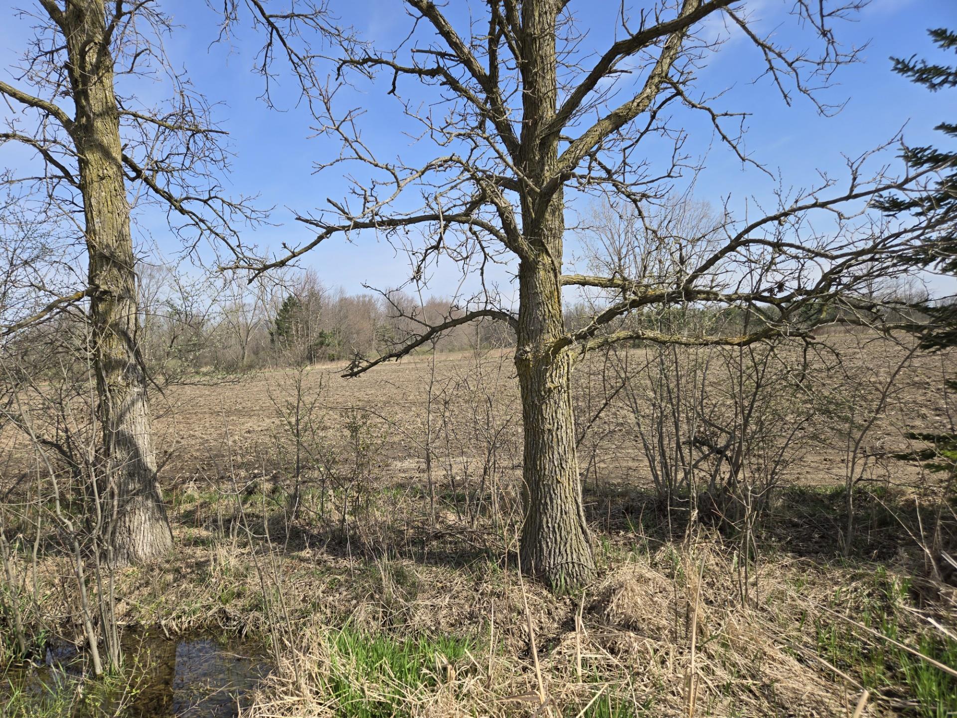 Homes for sale in Columbus Township St Clair, MI | 0 Weber (lot C) Rd, Columbus Township St Clair, MI 48063 | MLS# 58050172579