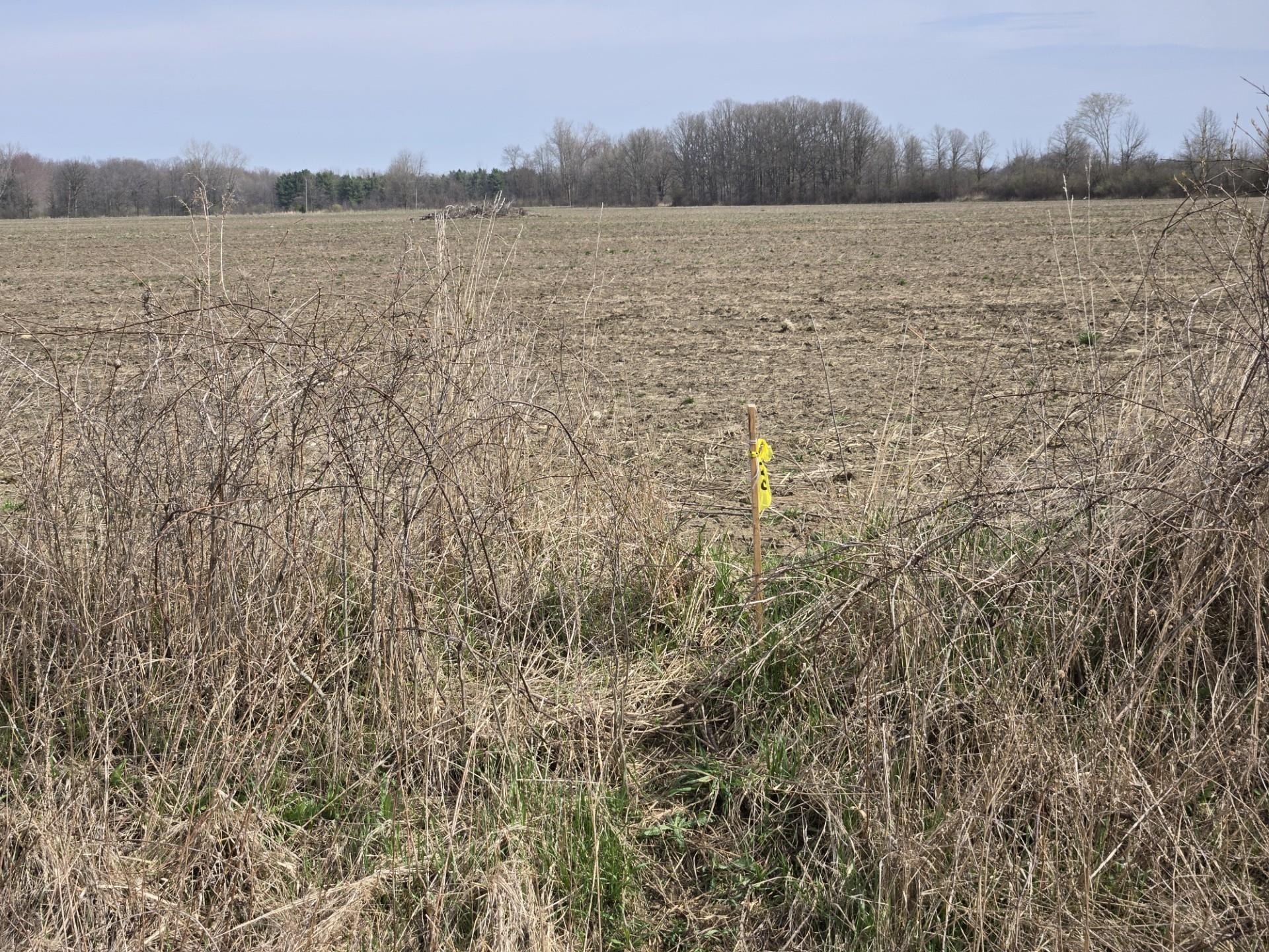 Homes for sale in Columbus Township St Clair, MI | 0 Weber (lot C) Rd, Columbus Township St Clair, MI 48063 | MLS# 58050172579