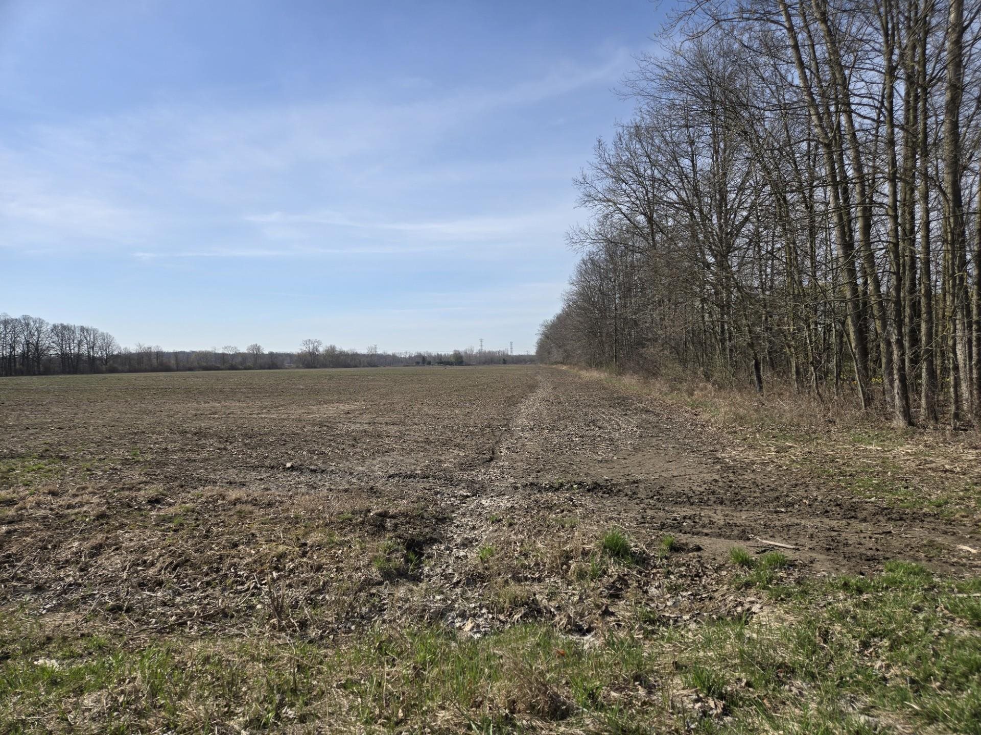 Homes for sale in Columbus Township St Clair, MI | 0 Meskill (lot C) Rd, Columbus Township St Clair, MI 48063 | MLS# 58050172595