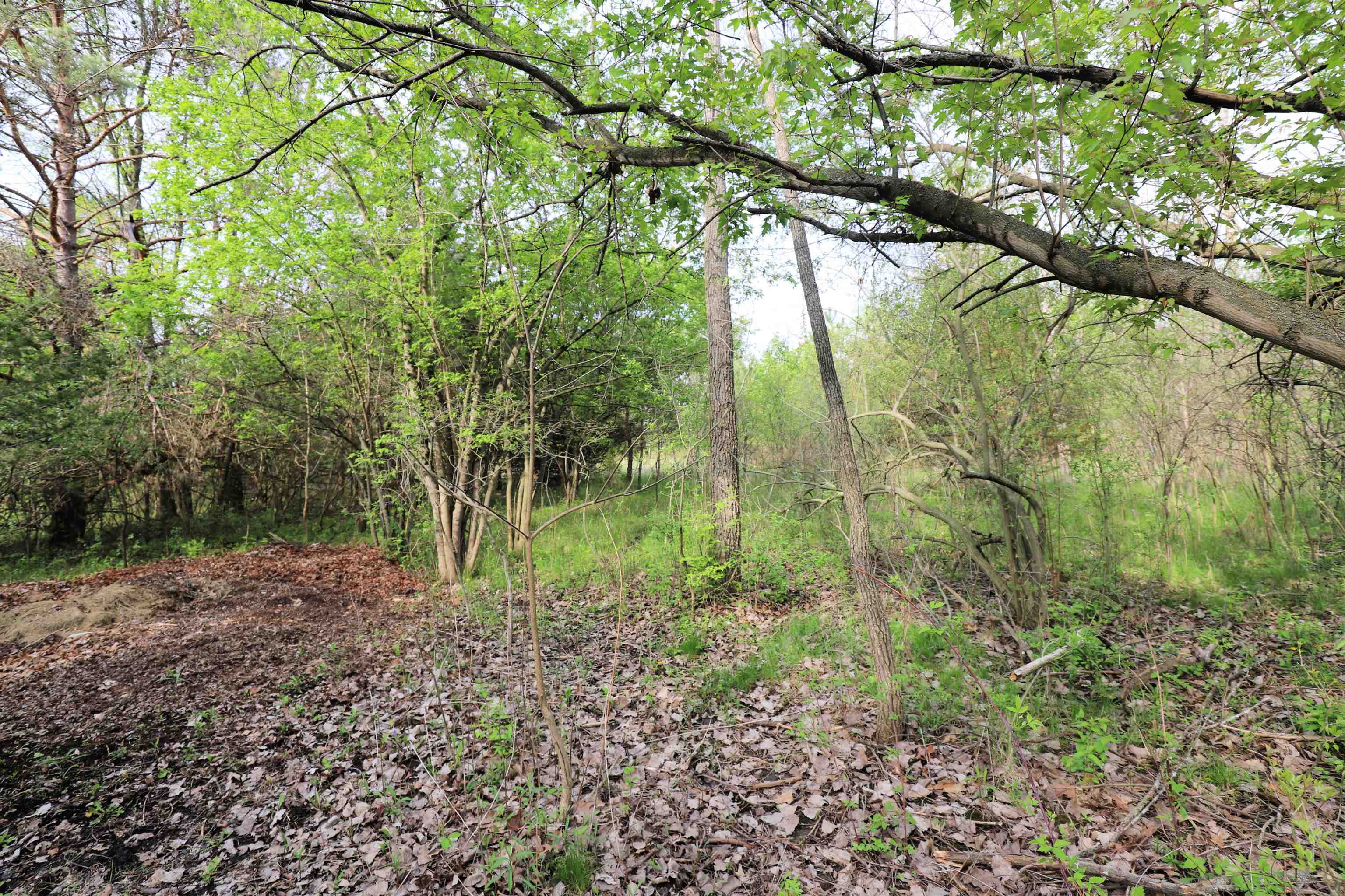 3378 N Elms, Mt Morris Twp, MI 48433 Photo