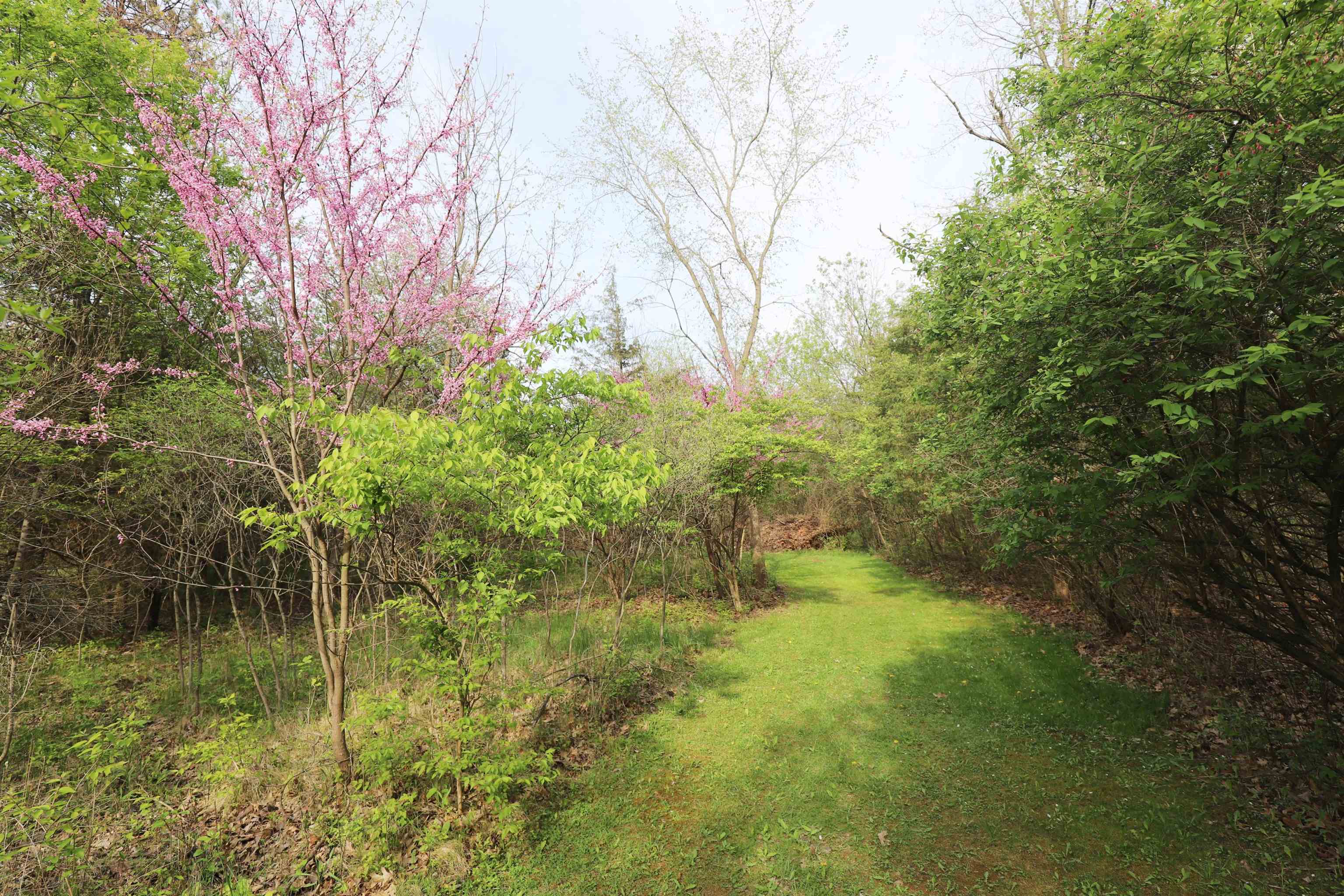 3378 N Elms, Mt Morris Twp, MI 48433 Photo