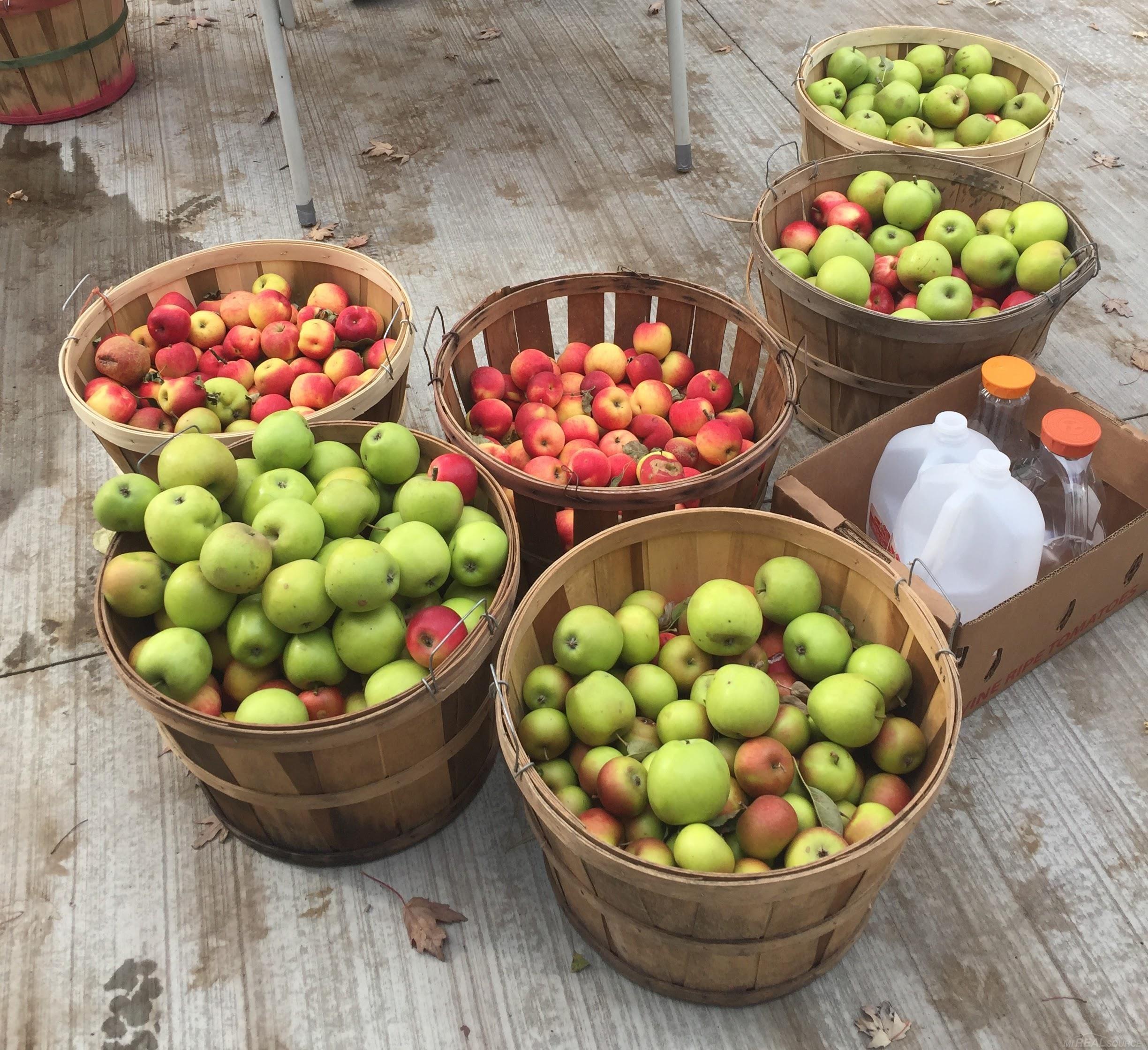 3905 Lakeshore Road, Lexington, MI, 48450