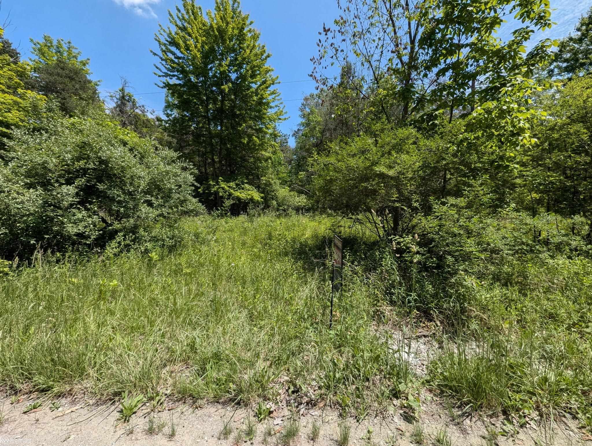 Homes for sale in Wales Township St Clair, MI | 0000 Fox Rd, Wales Township St Clair, MI 48027 | MLS# 58050178543