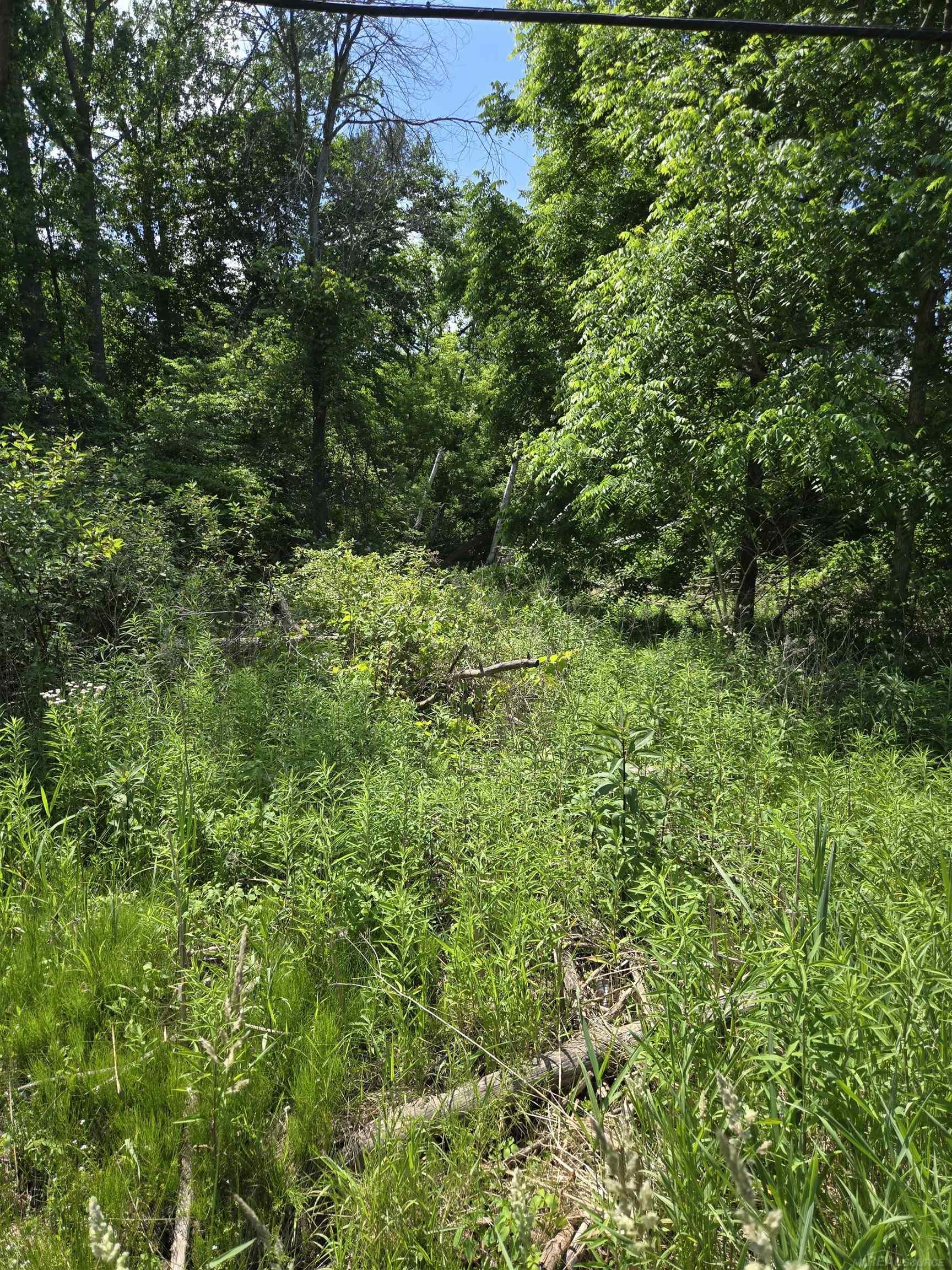 TBD Lakeshore Road, Lexington, MI, 48450