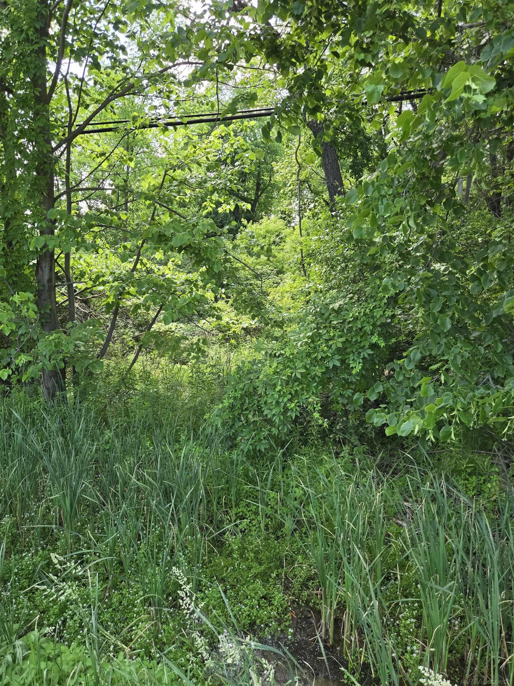 TBD Lakeshore Road, Lexington, MI, 48450