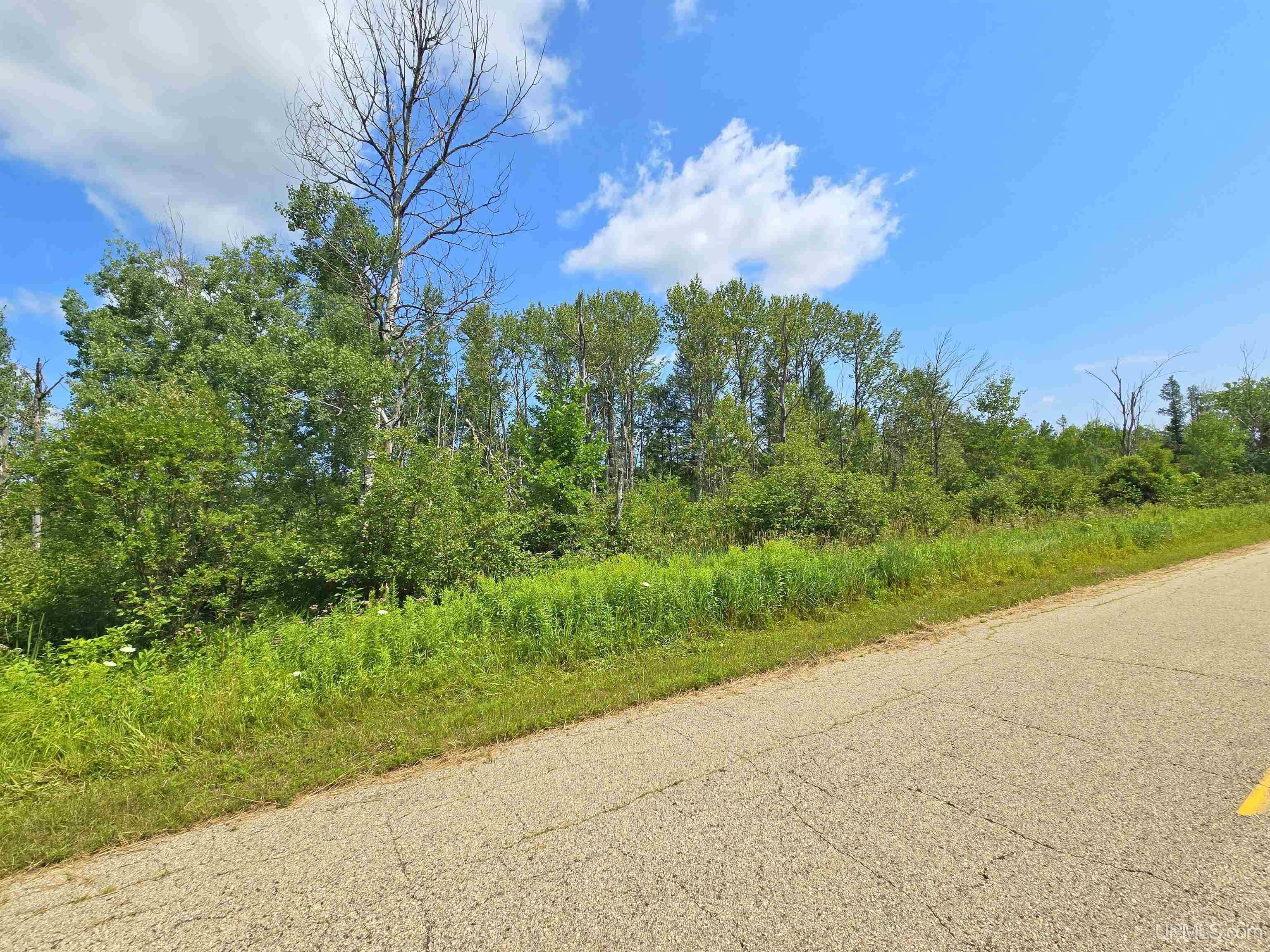 TBD Bauer Road