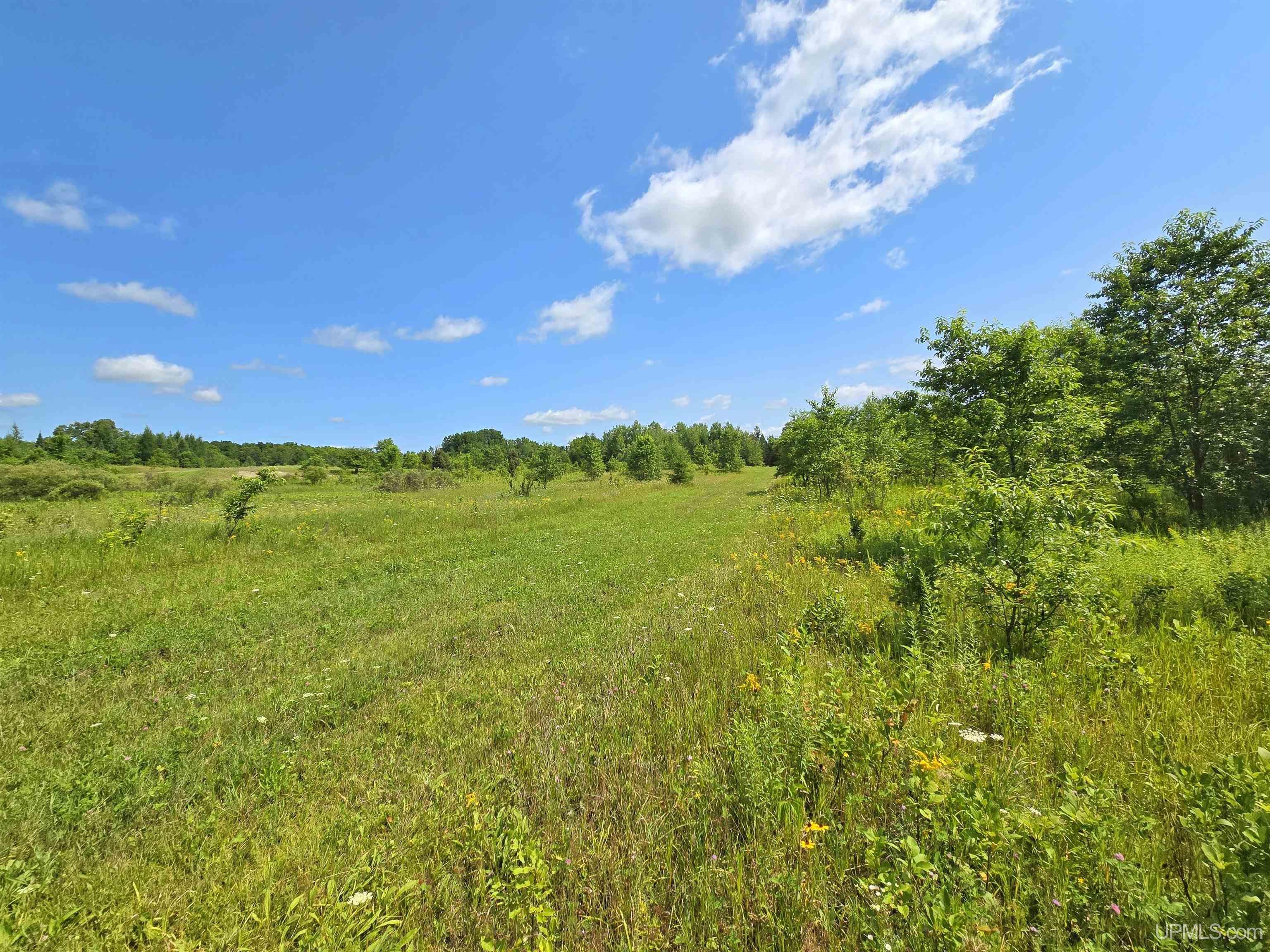TBD Bauer Road