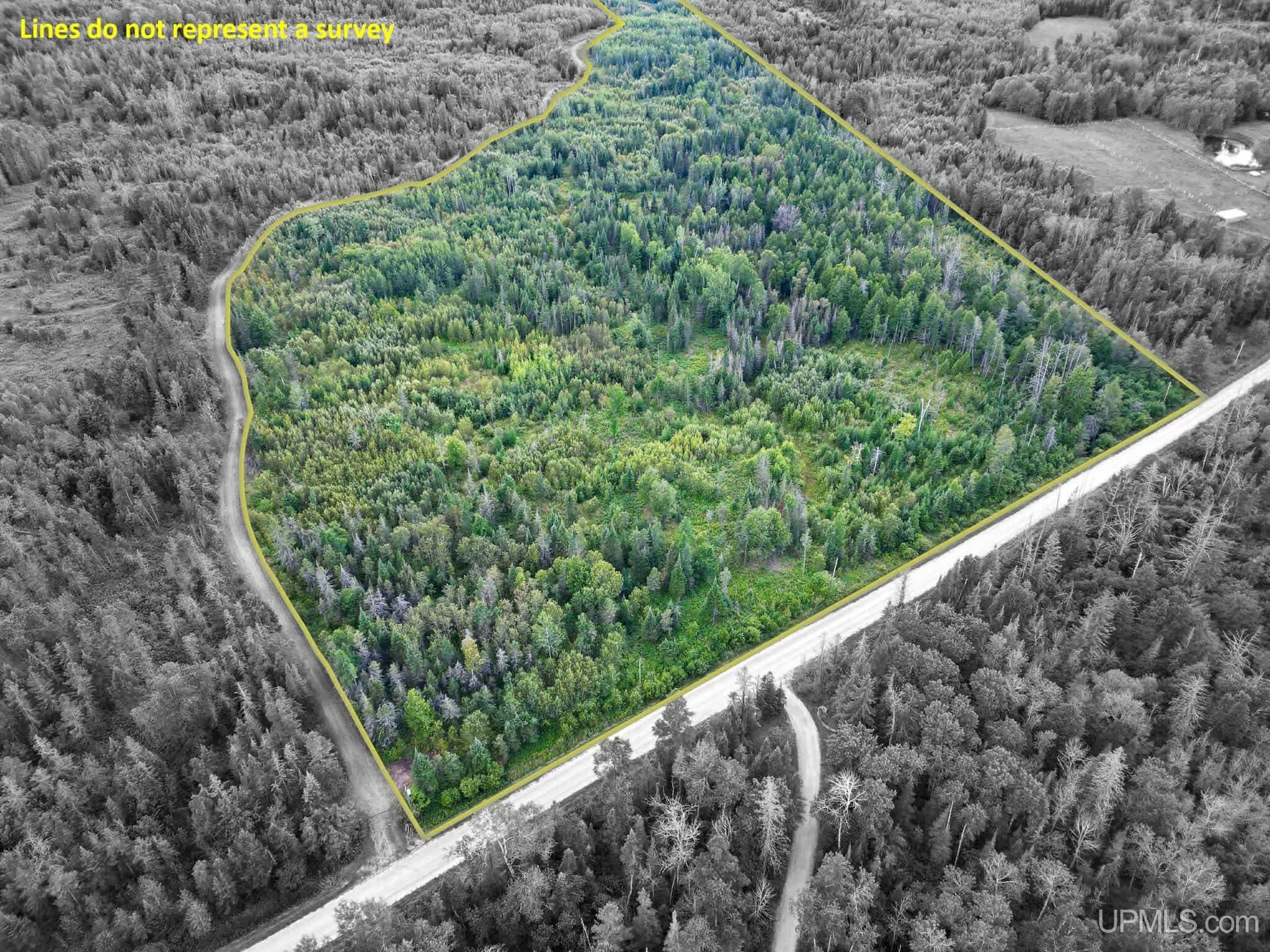 TBD Triple Creek Road - Real estate property