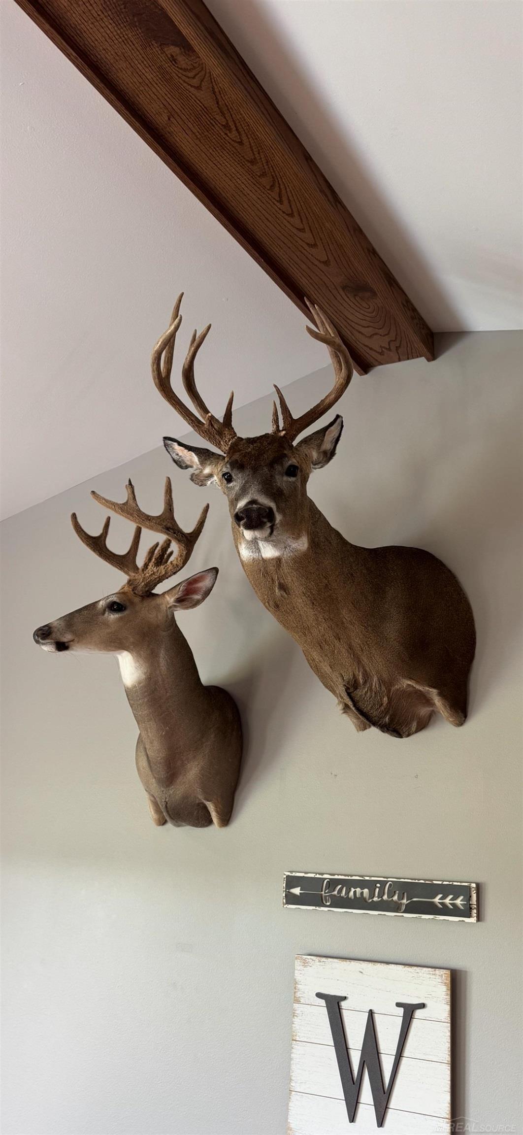 13559 Jeddo Road, Lynn, MI, 48097