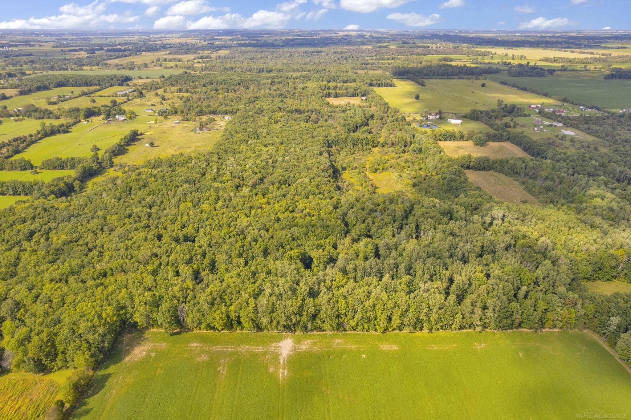 13559 Jeddo Road, Lynn, MI, 48097