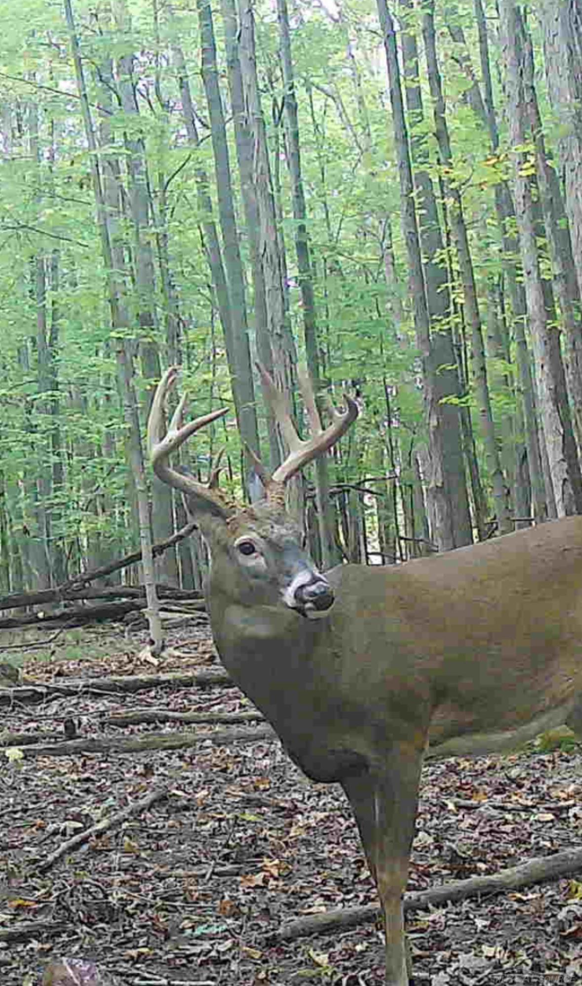 13559 Jeddo Road, Lynn, MI, 48097