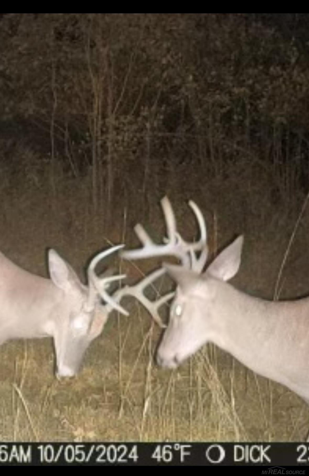 13559 Jeddo Road, Lynn, MI, 48097